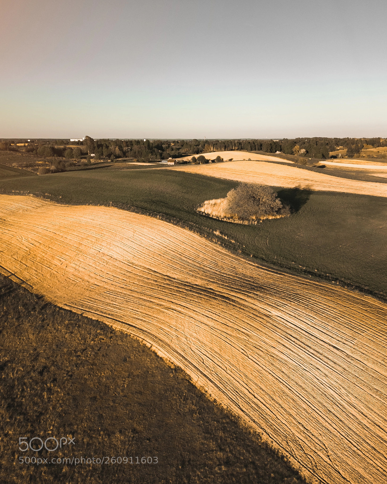 DJI FC220 sample photo. Bandy curves photography