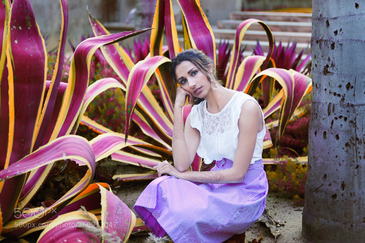 Canon EOS 5D Mark II sample photo. The world is purple photography