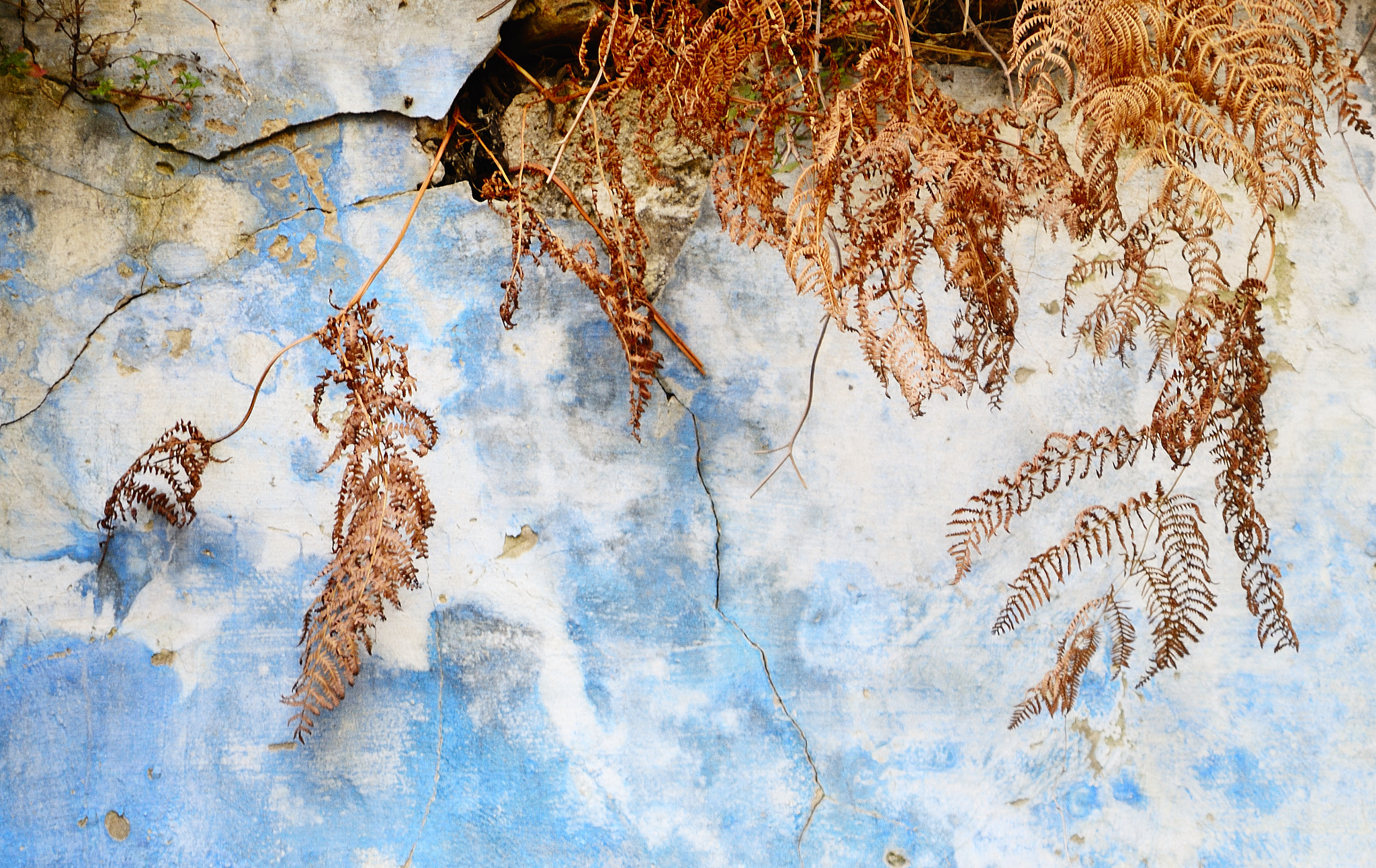 Nikon D5100 sample photo. Pared photography