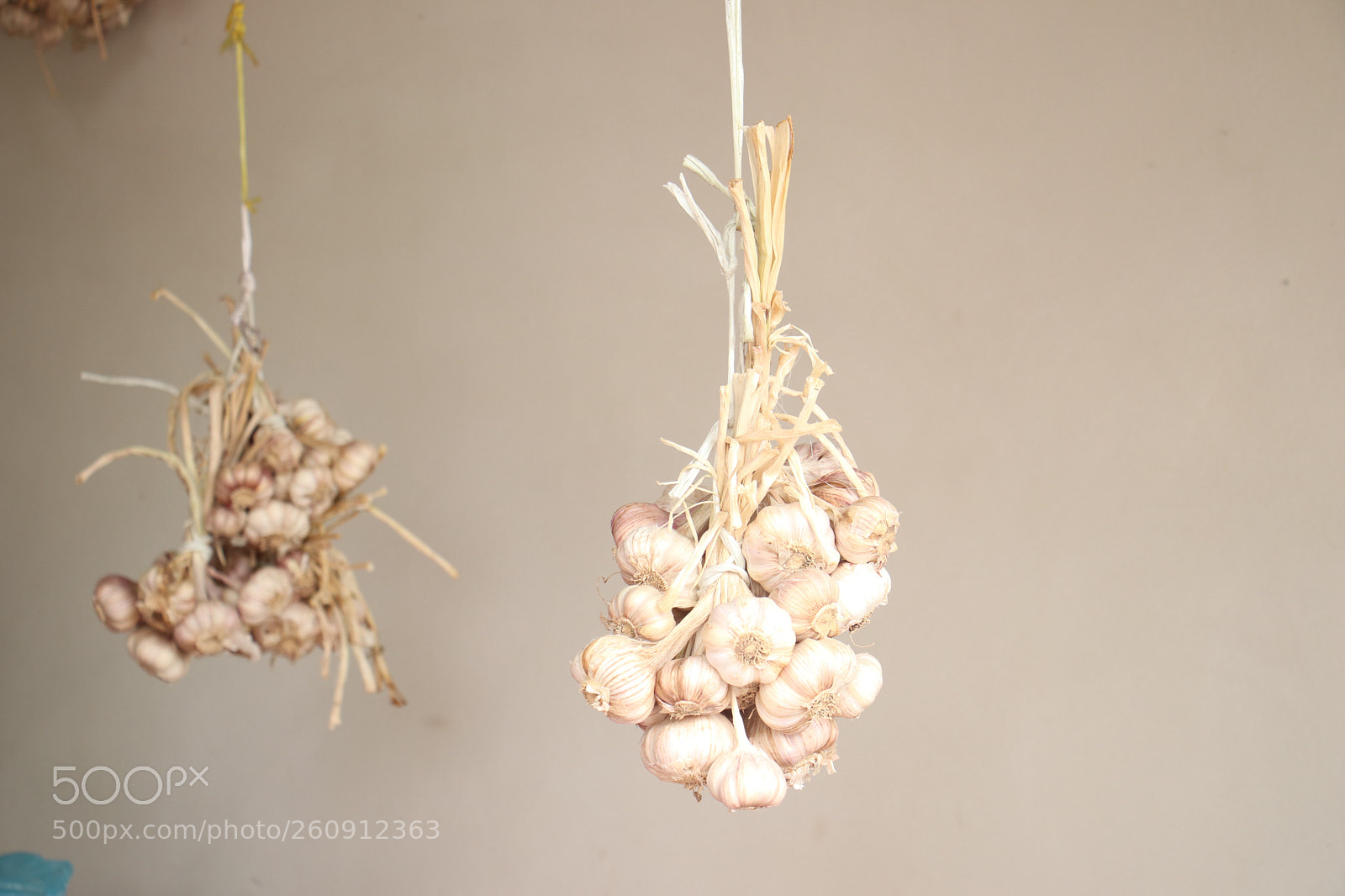 Canon EOS 80D sample photo. Untitled photography