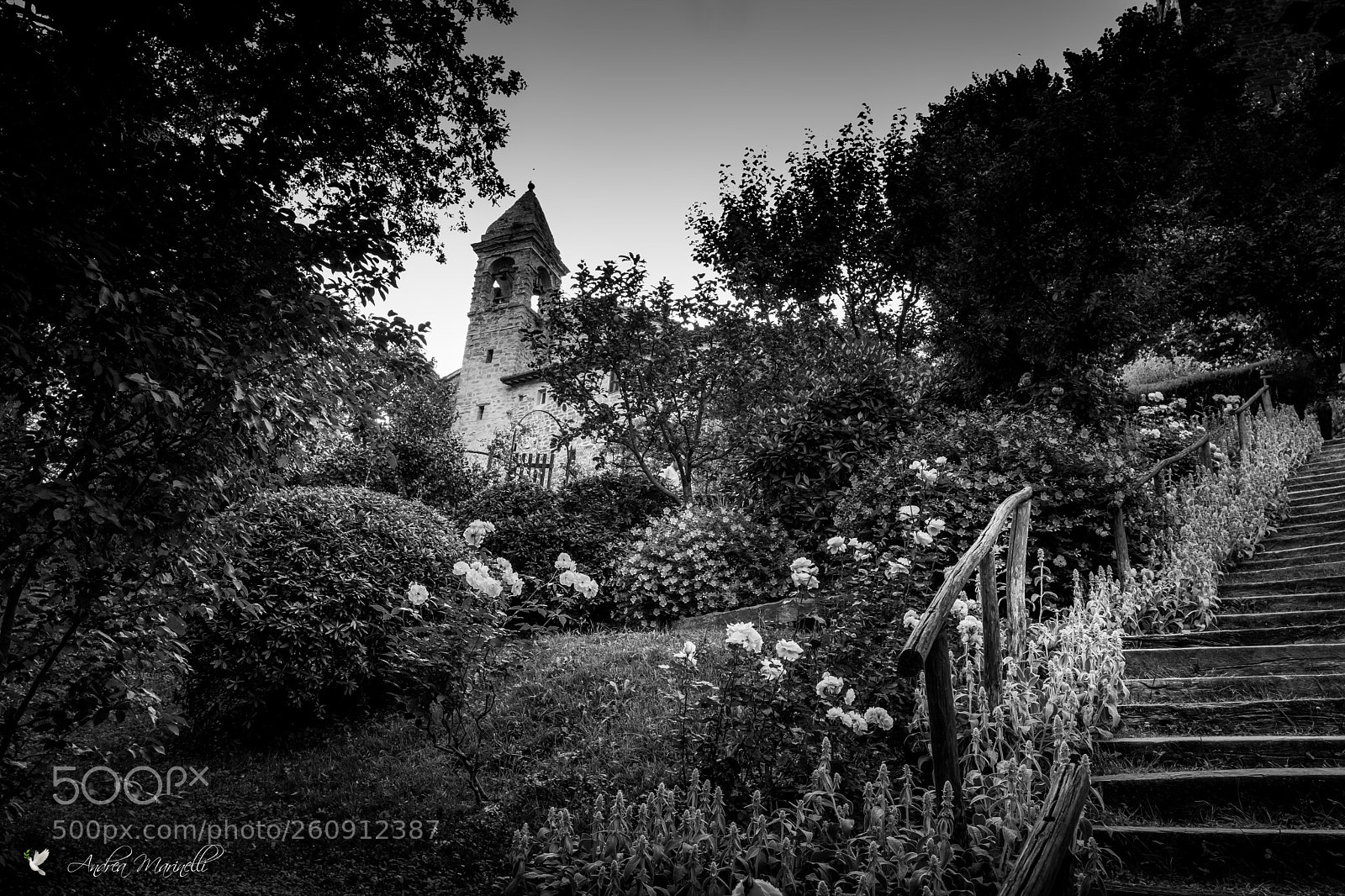 Leica Q (Typ 116) sample photo. The garden of the photography