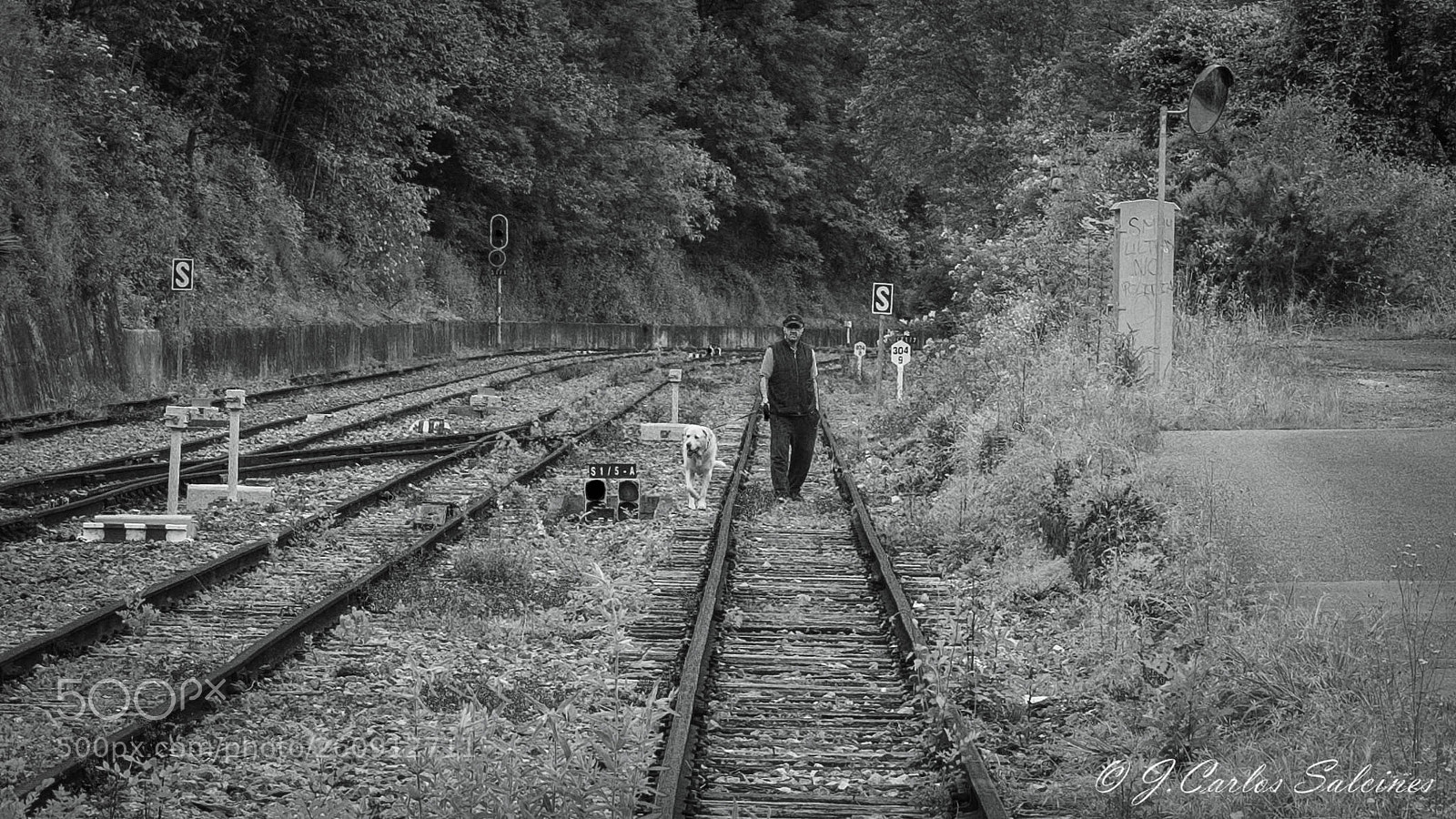 Nikon D7200 sample photo. Untitled photography