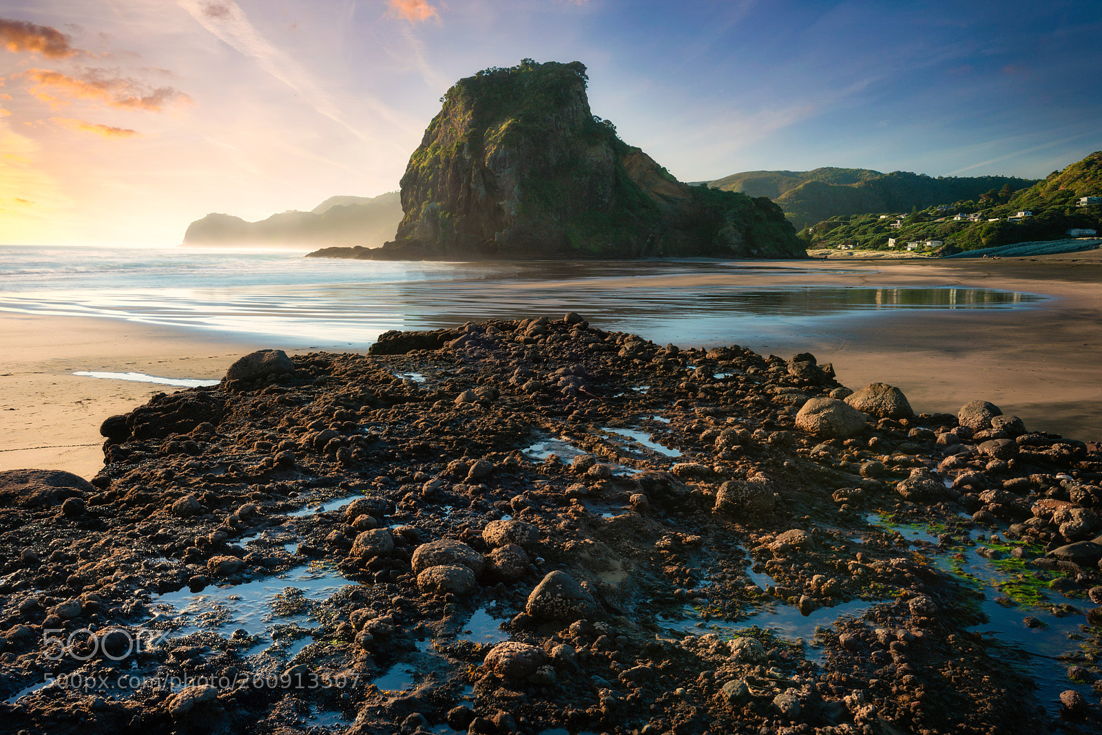 Nikon D610 sample photo. Lion rock, piha photography