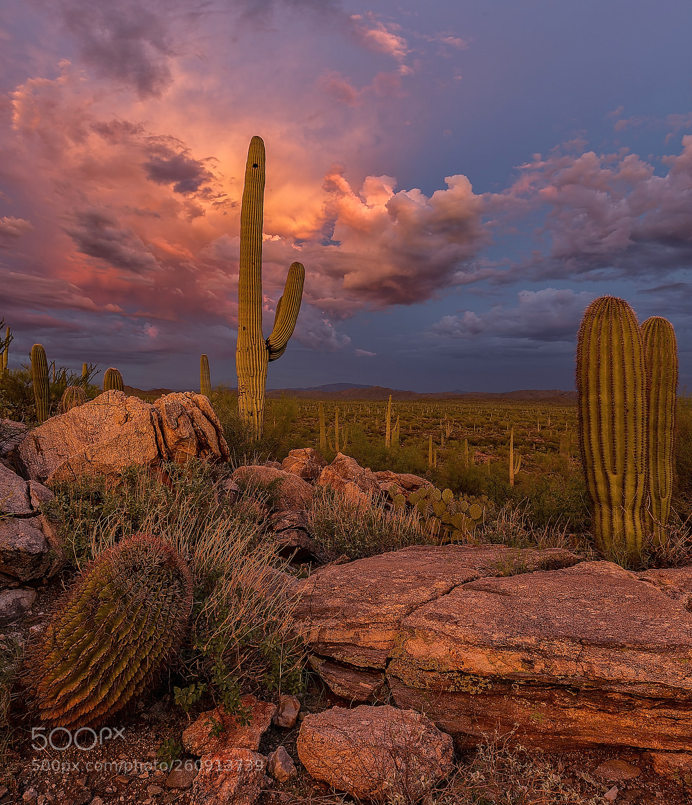 Canon EOS 6D sample photo. Desert kings photography