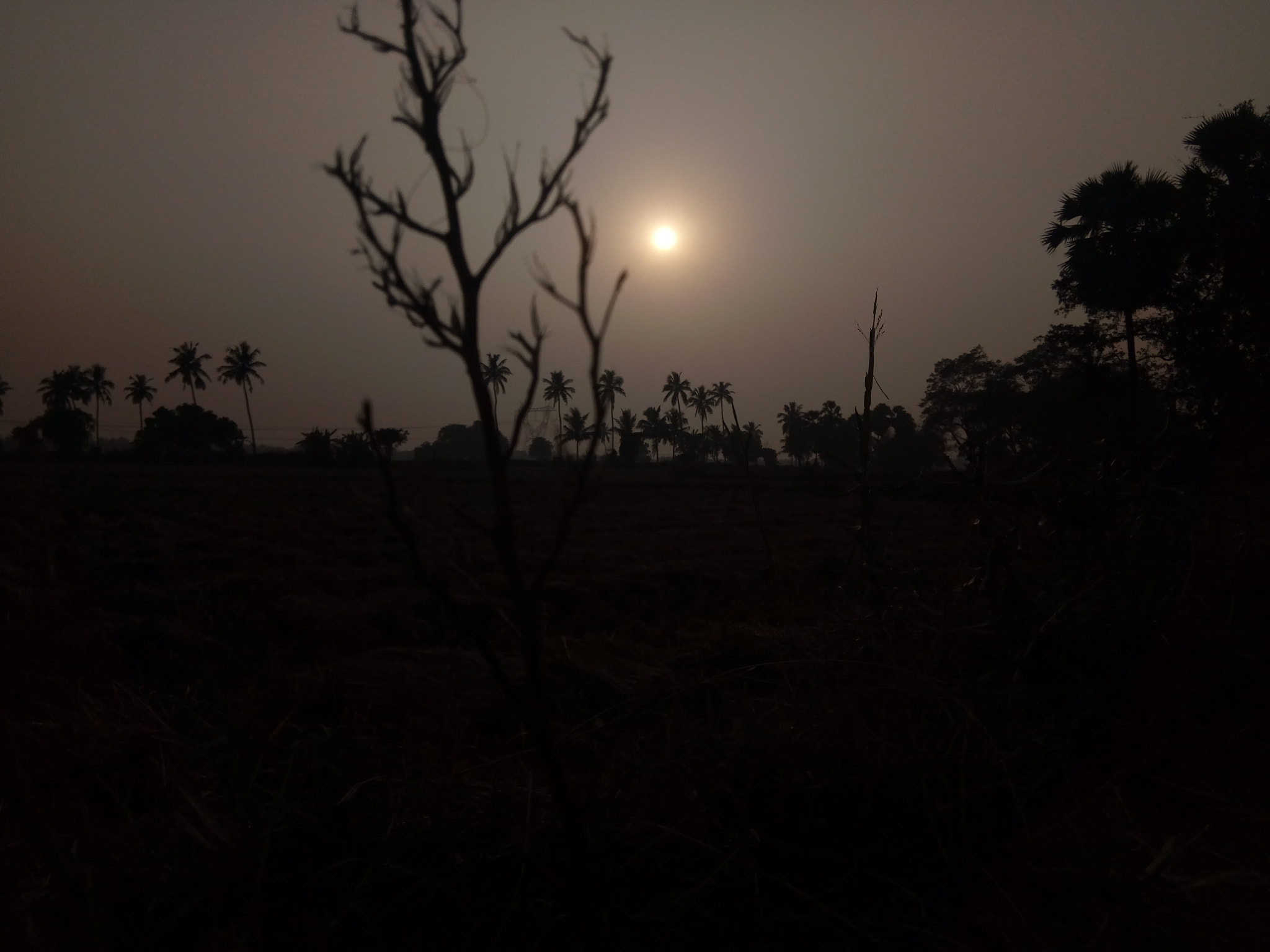 GIONEE F103 Pro sample photo