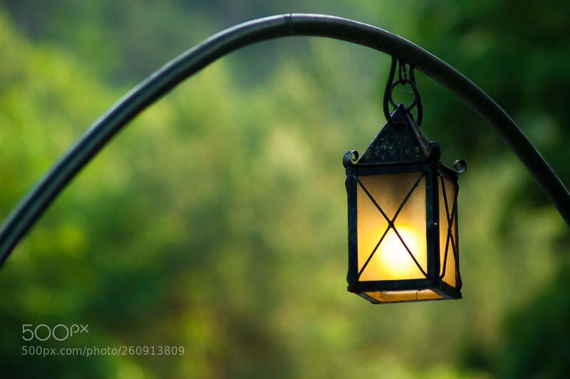 Nikon D70 sample photo. Lantern in the forest photography
