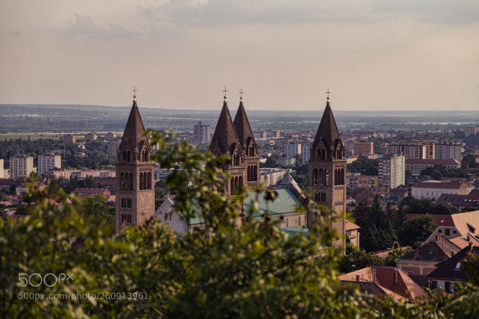 Canon EOS 5D Mark II sample photo. Pecs, hungary photography