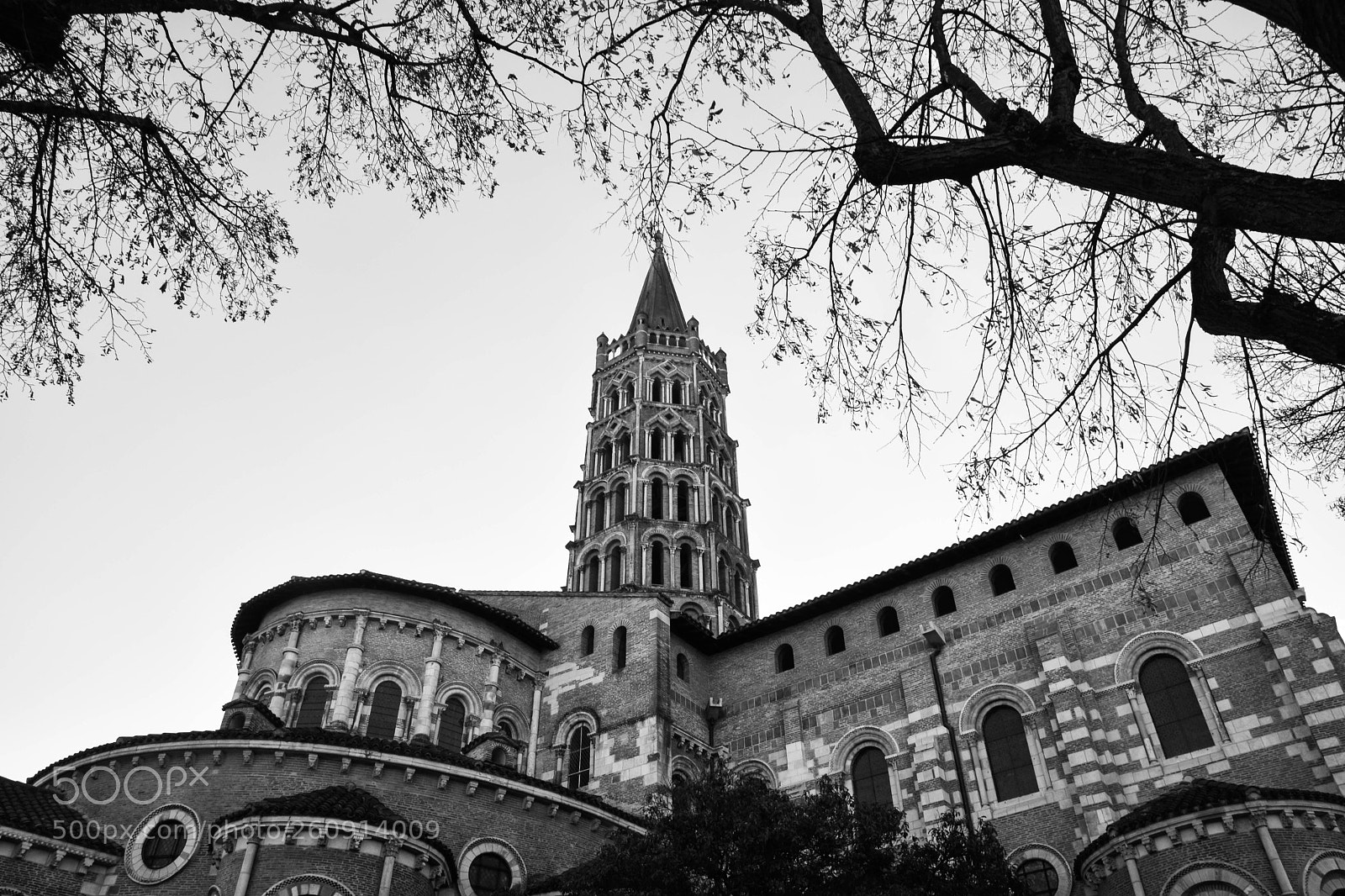 Nikon D5500 sample photo. Saint-sernin photography