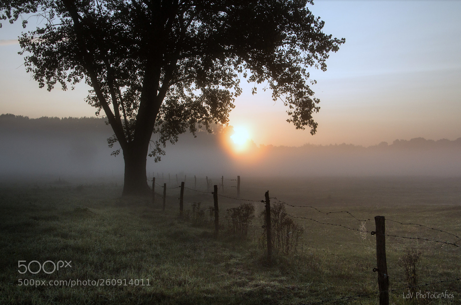 Canon EOS 700D (EOS Rebel T5i / EOS Kiss X7i) sample photo. Misty sunrise photography