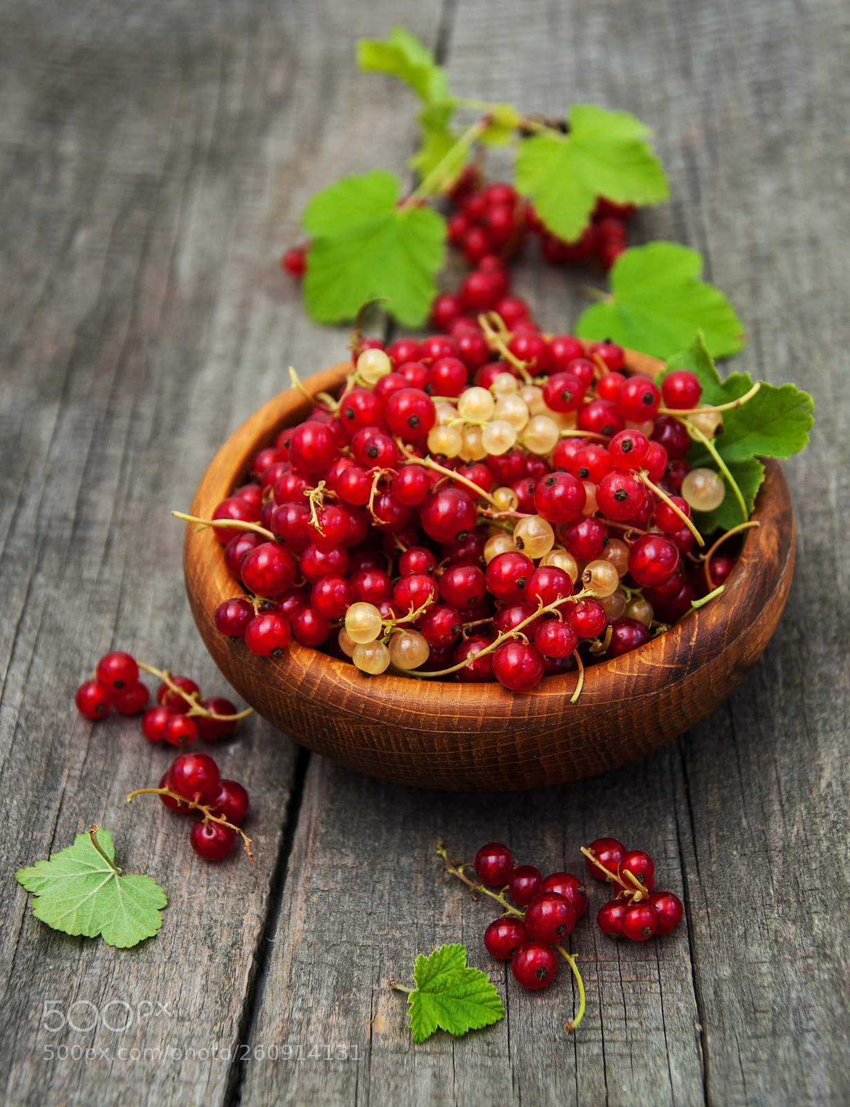 Nikon D90 sample photo. Bowl with red currant photography