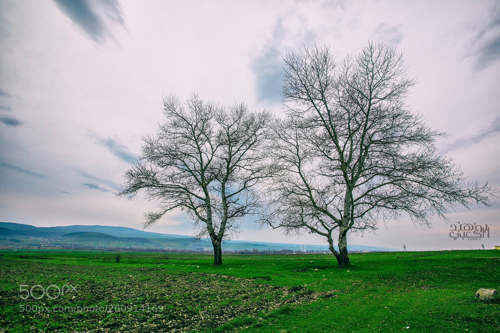 Canon EOS 5D Mark IV sample photo. Untitled photography