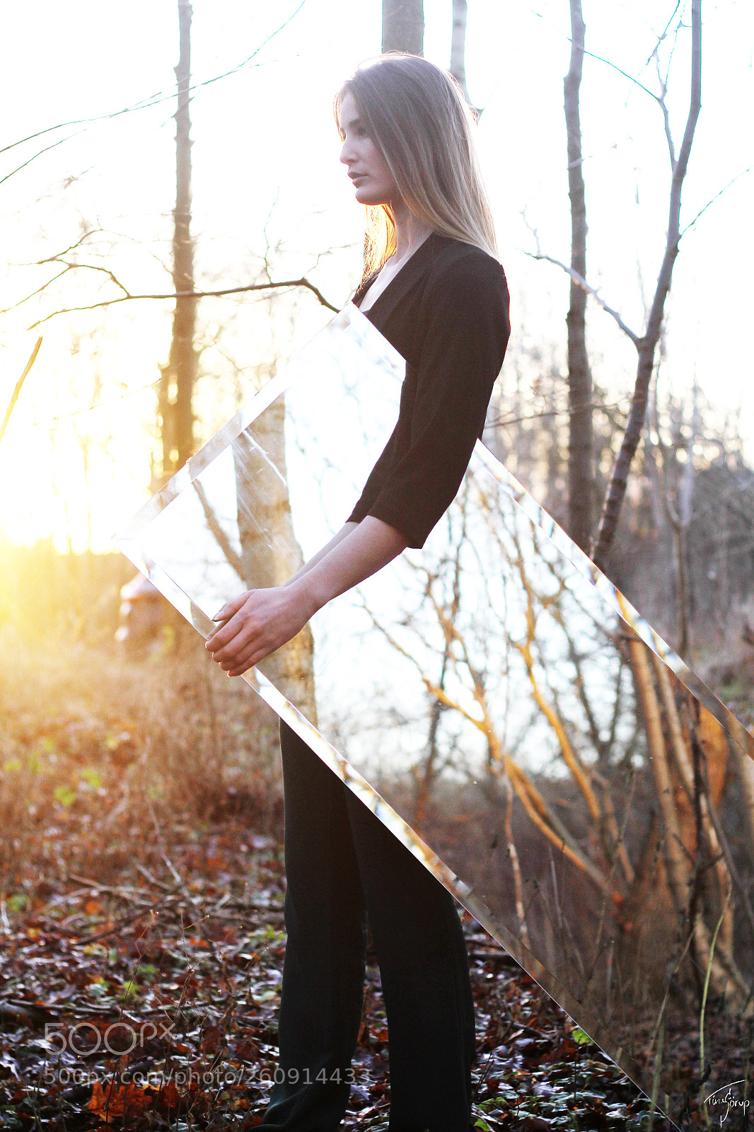 Canon EOS 7D sample photo. . forest photography