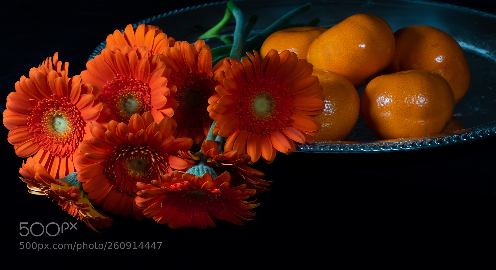 Olympus OM-D E-M5 II sample photo. Gerbera still life photography