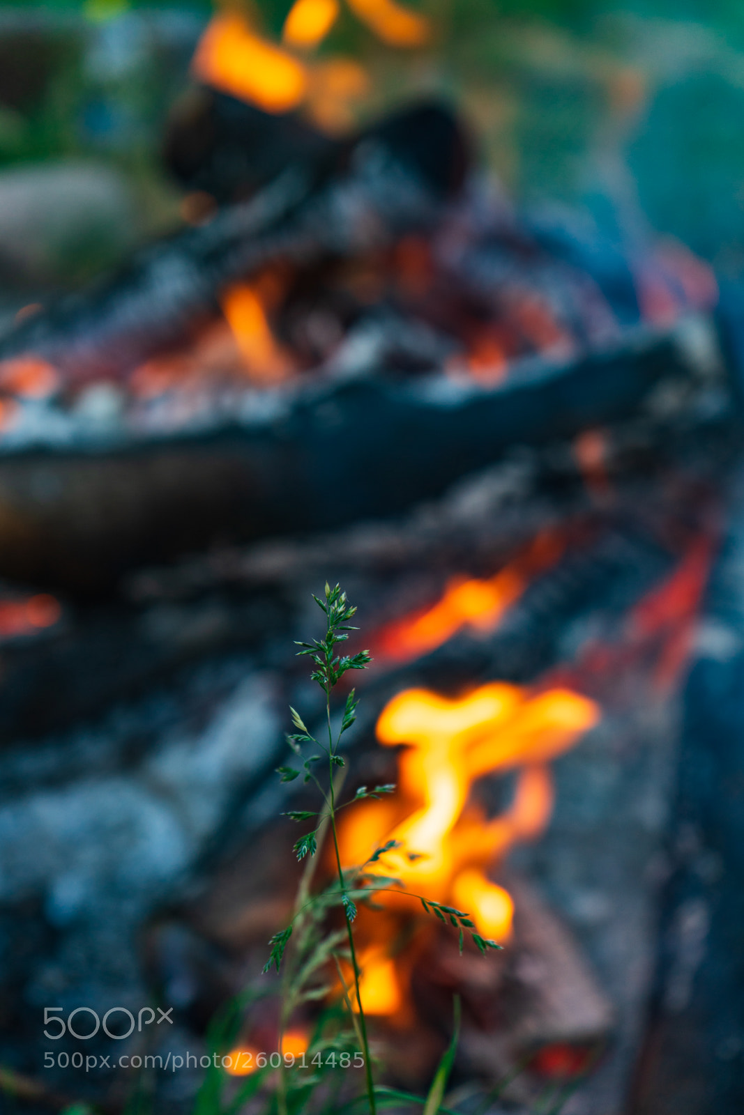 Sony a7 sample photo. Live on fire photography