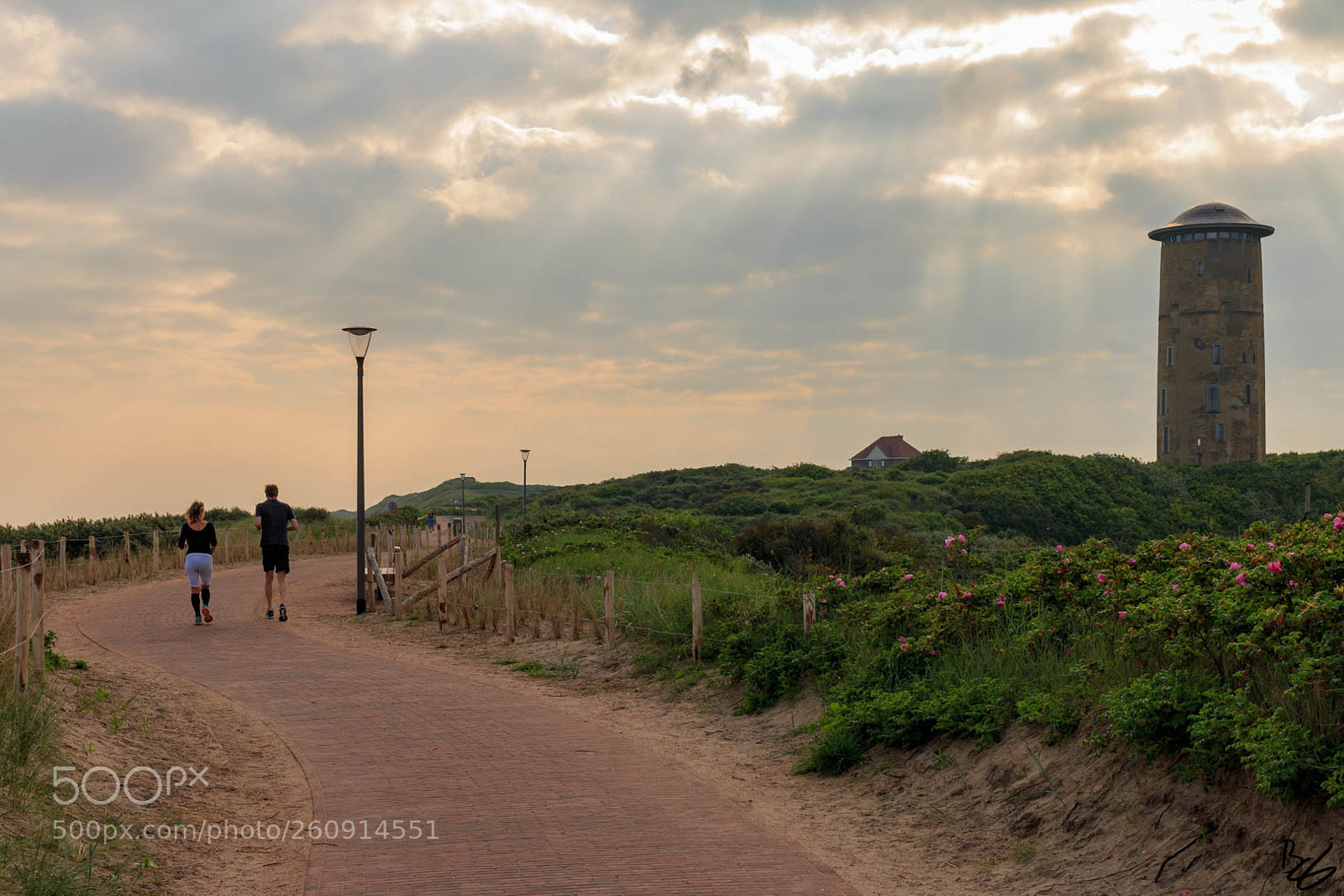 Canon EOS 70D sample photo. Good morning, domburg photography