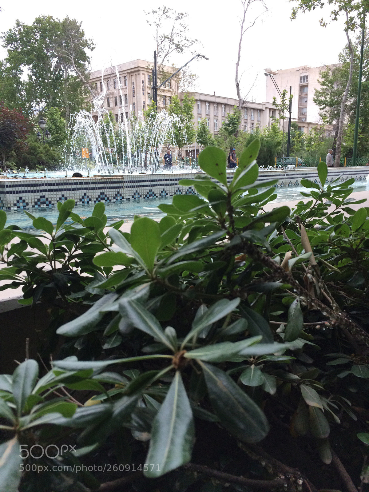 Apple iPhone 5s sample photo. Untitled photography