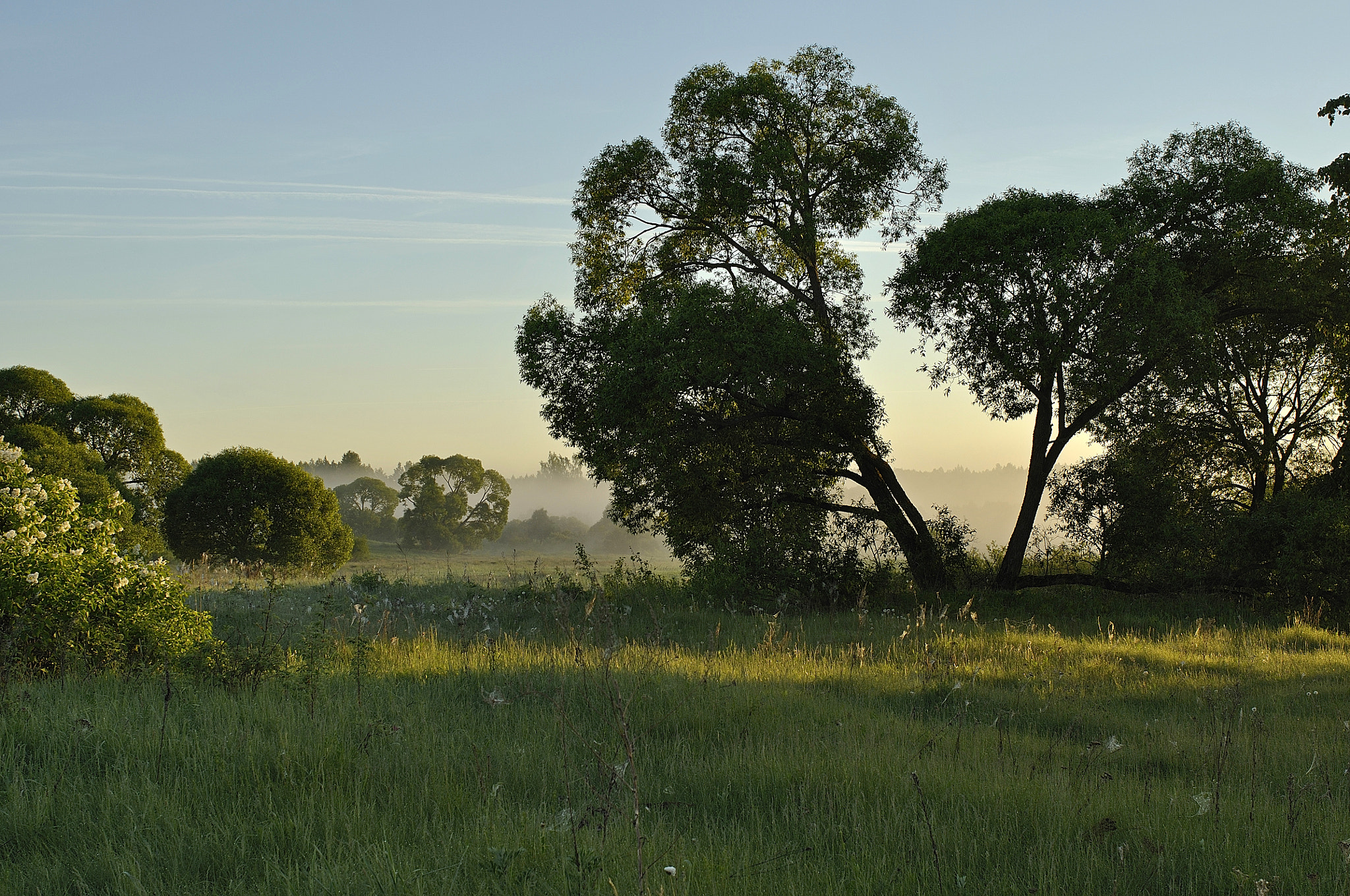 Nikon D90 sample photo. Morning on the smolensk river kashpla photography