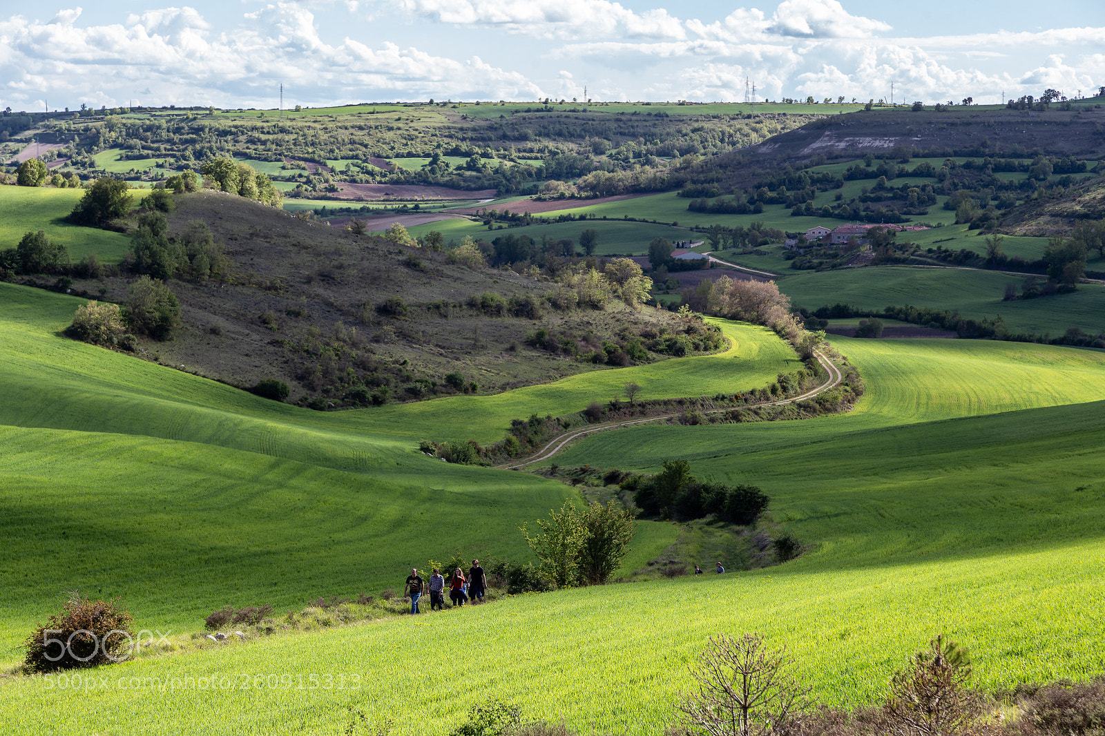 Canon EOS 6D sample photo. The shire photography
