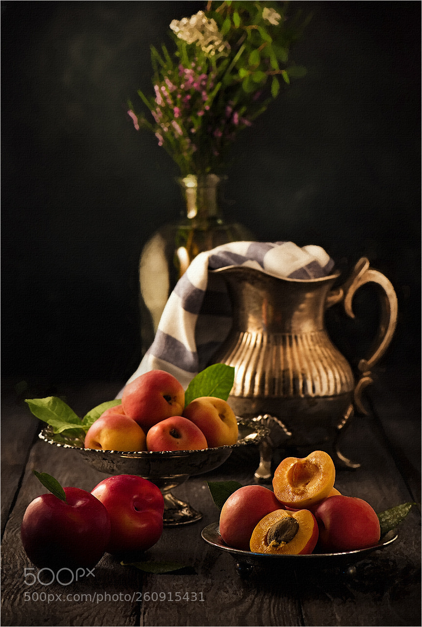 Nikon D810 sample photo. Web photography