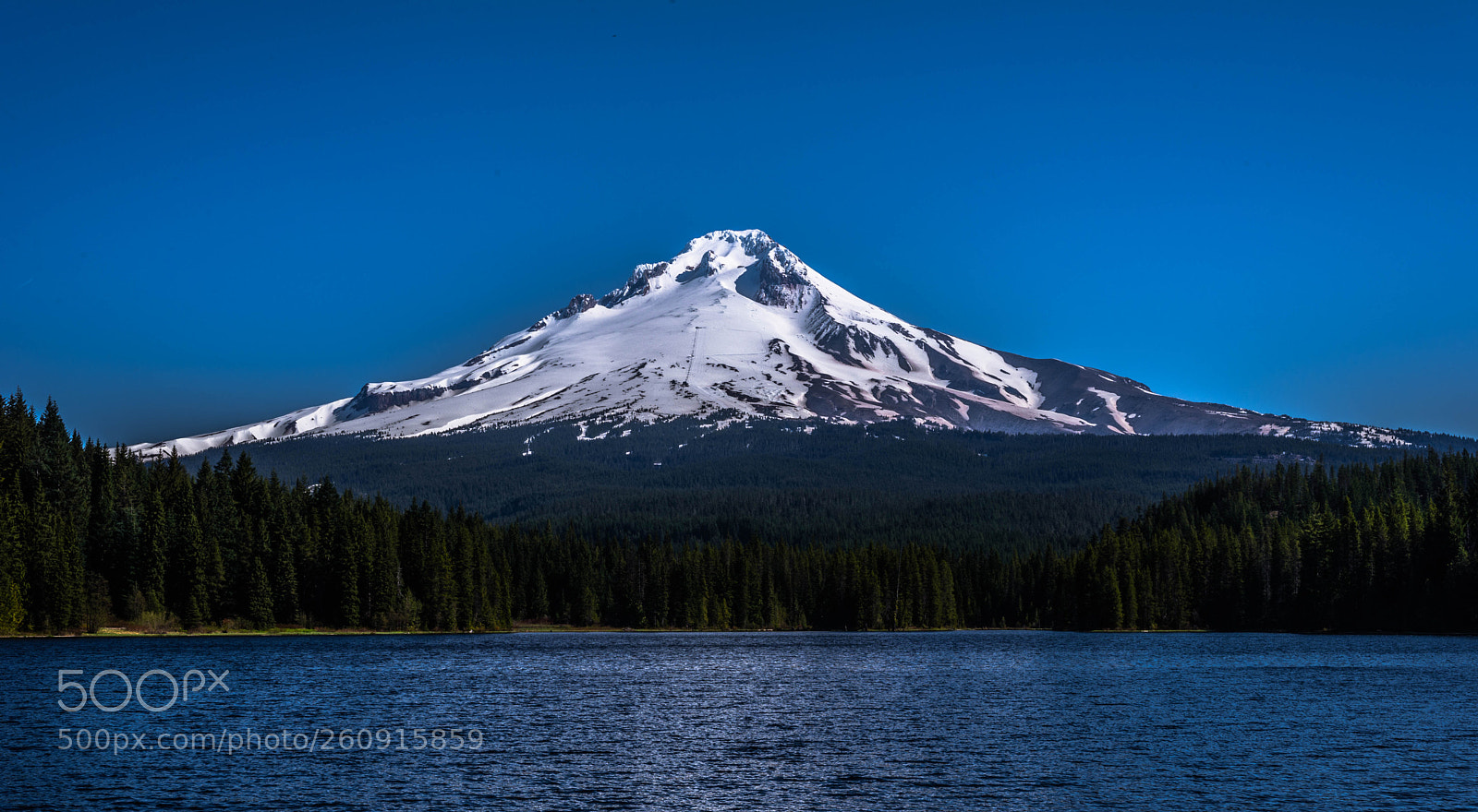 Nikon D610 sample photo. Vintage pacific northwest photography