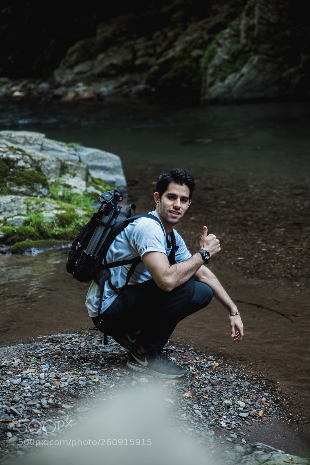 Nikon D810 sample photo. Forest bathing  photography
