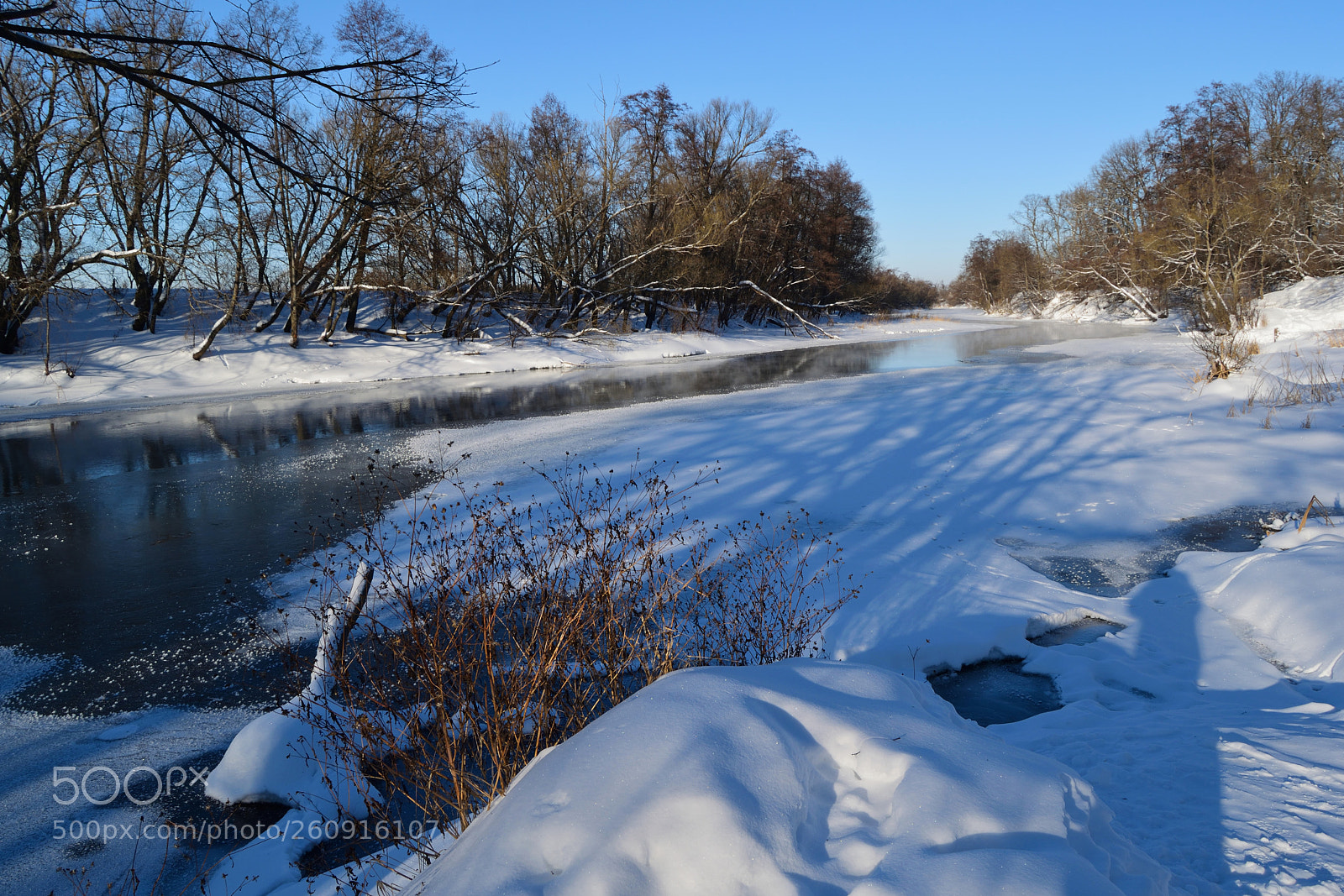 Nikon D3300 sample photo. Winter morning photography