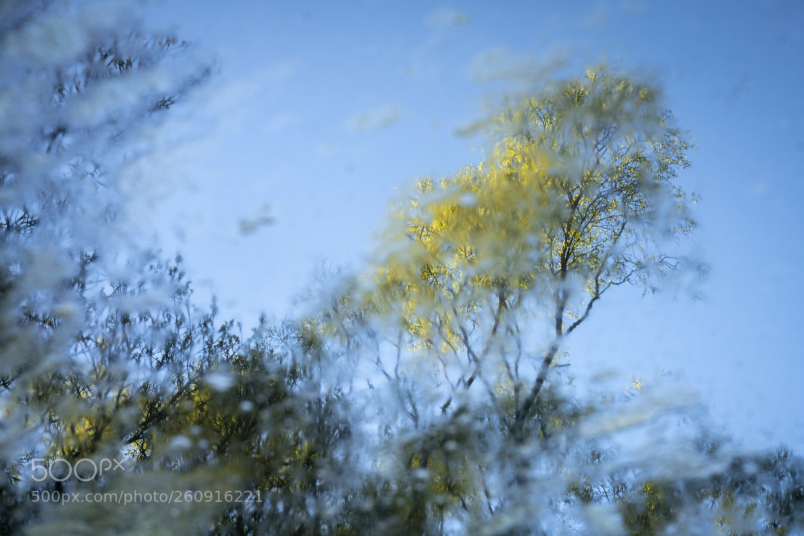Sony a7R III sample photo. Yew tree tarn impression photography