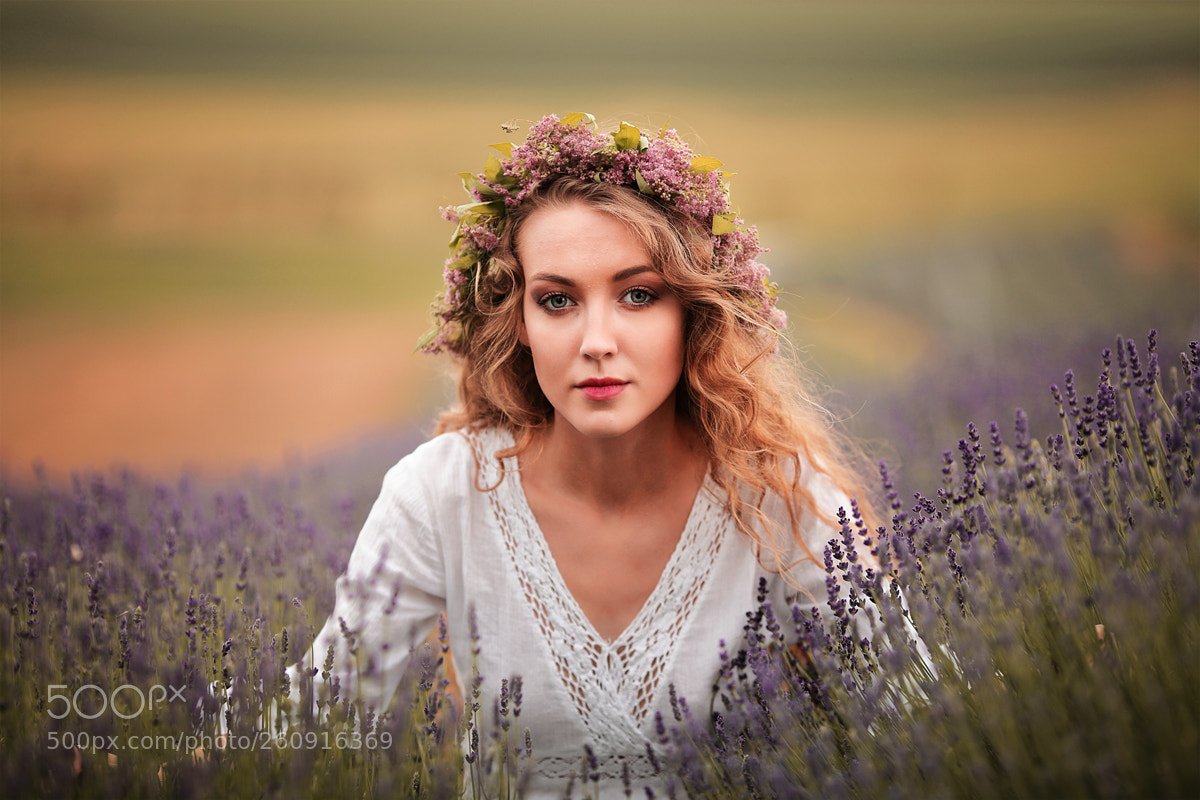 Canon EOS 5D Mark II sample photo. Lavender day photography