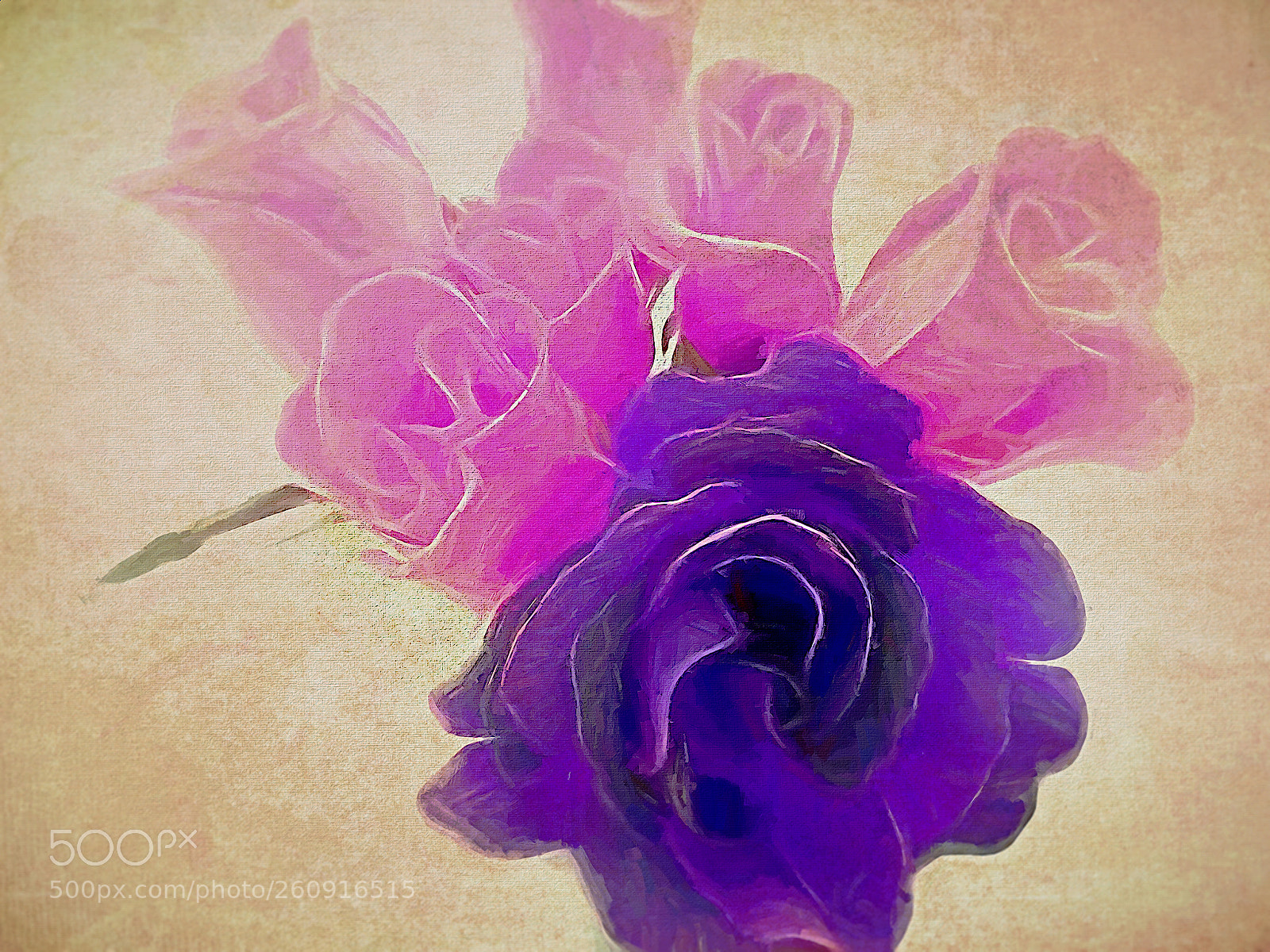 Sony Cyber-shot DSC-HX300 sample photo. Flowerment photography