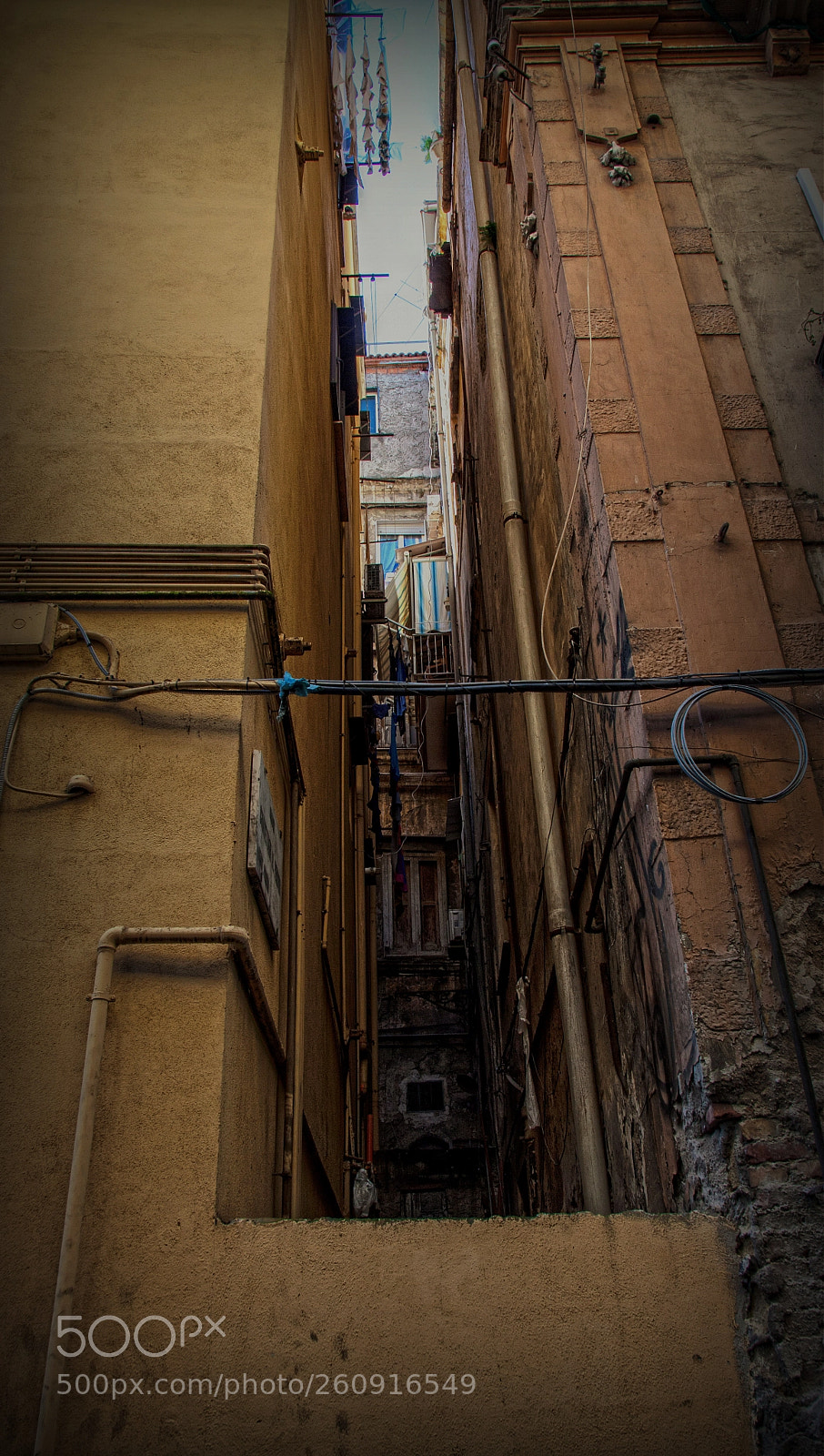 Canon EOS 50D sample photo. Vu#17 photography