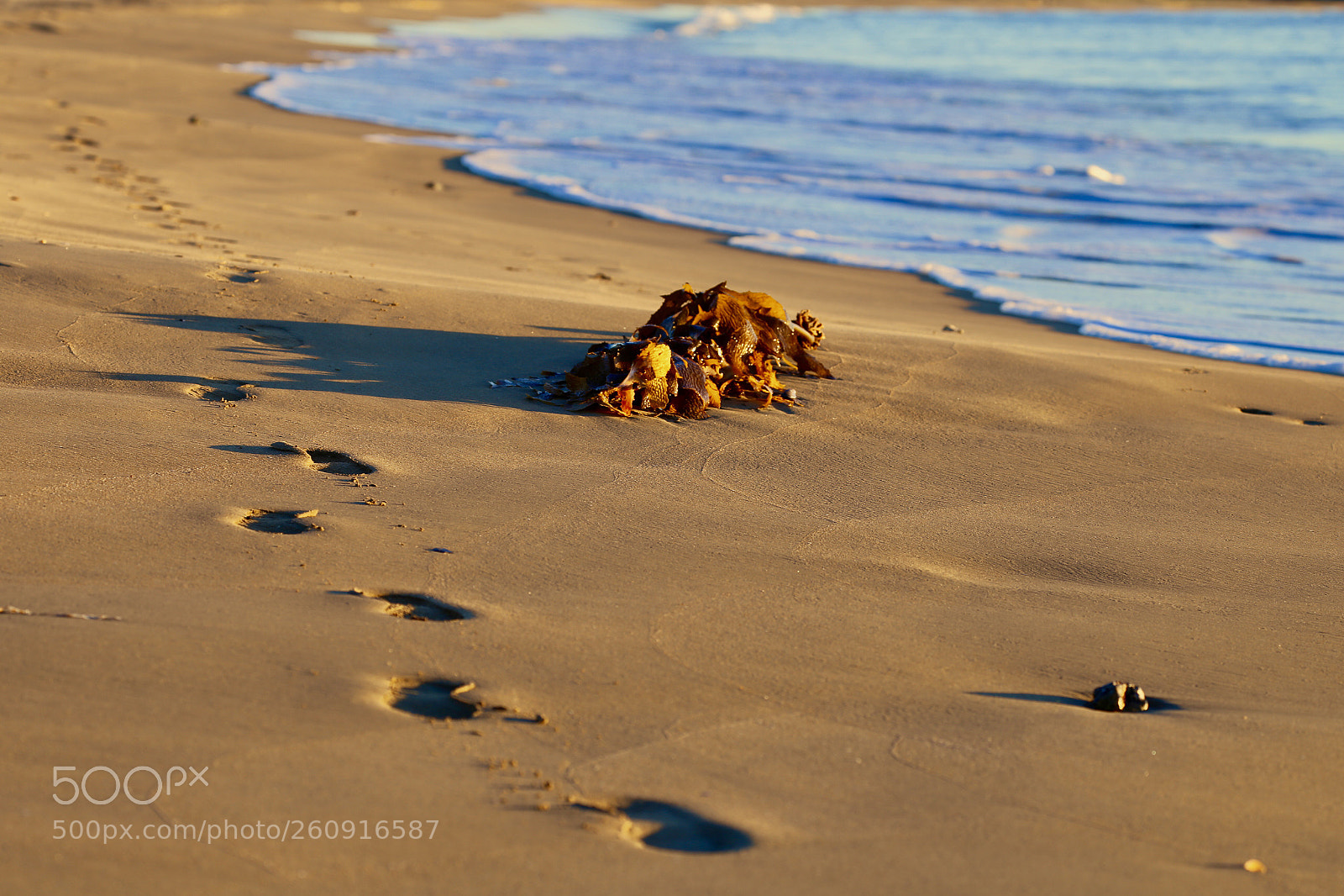 Canon EOS 6D sample photo. Untitled photography