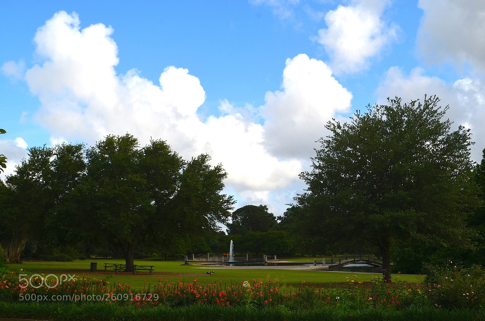 Nikon D5100 sample photo. Hampton park, c photography