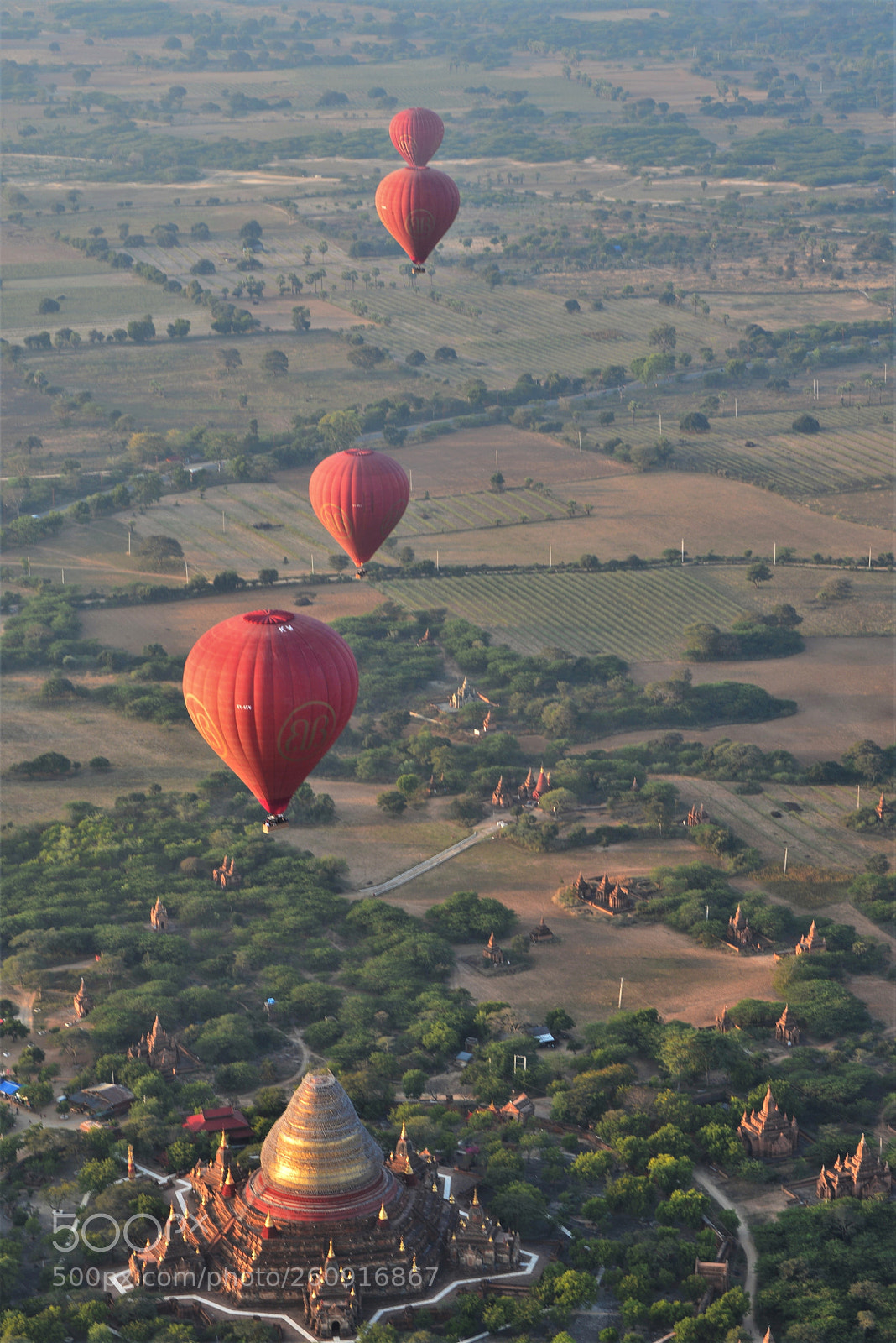 Nikon D610 sample photo. Ballon /8501 photography