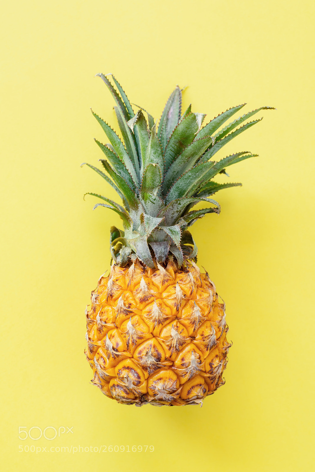 Nikon D810 sample photo. Pineapple on yellow background photography