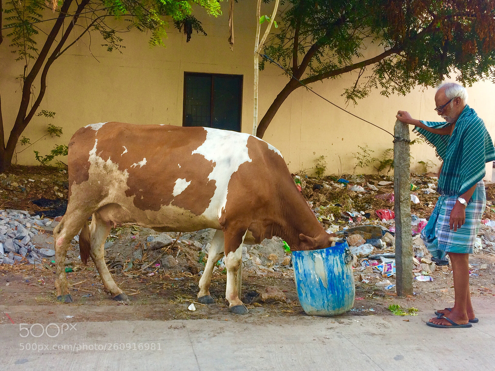 Apple iPhone 5s sample photo. Incredible man  photography