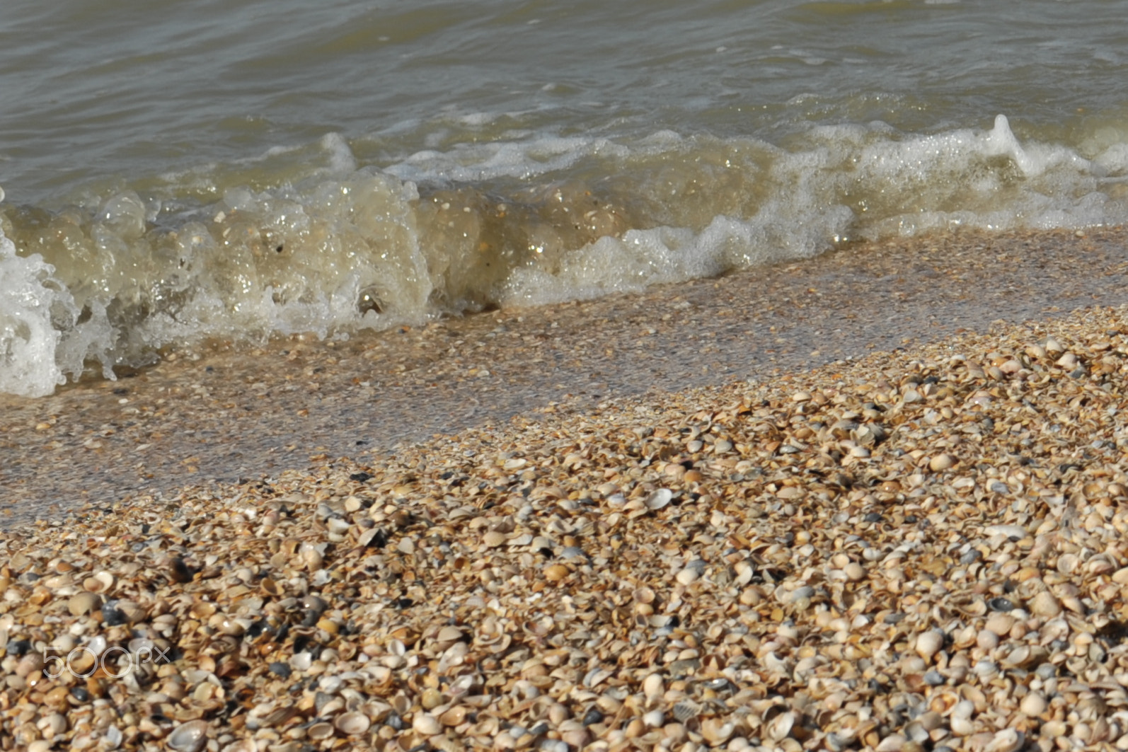 Nikon AF-S Nikkor 24-70mm F2.8G ED sample photo. Azov sea beach photography