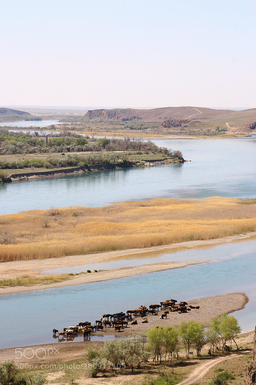 Canon EOS 20D sample photo. Ili river photography