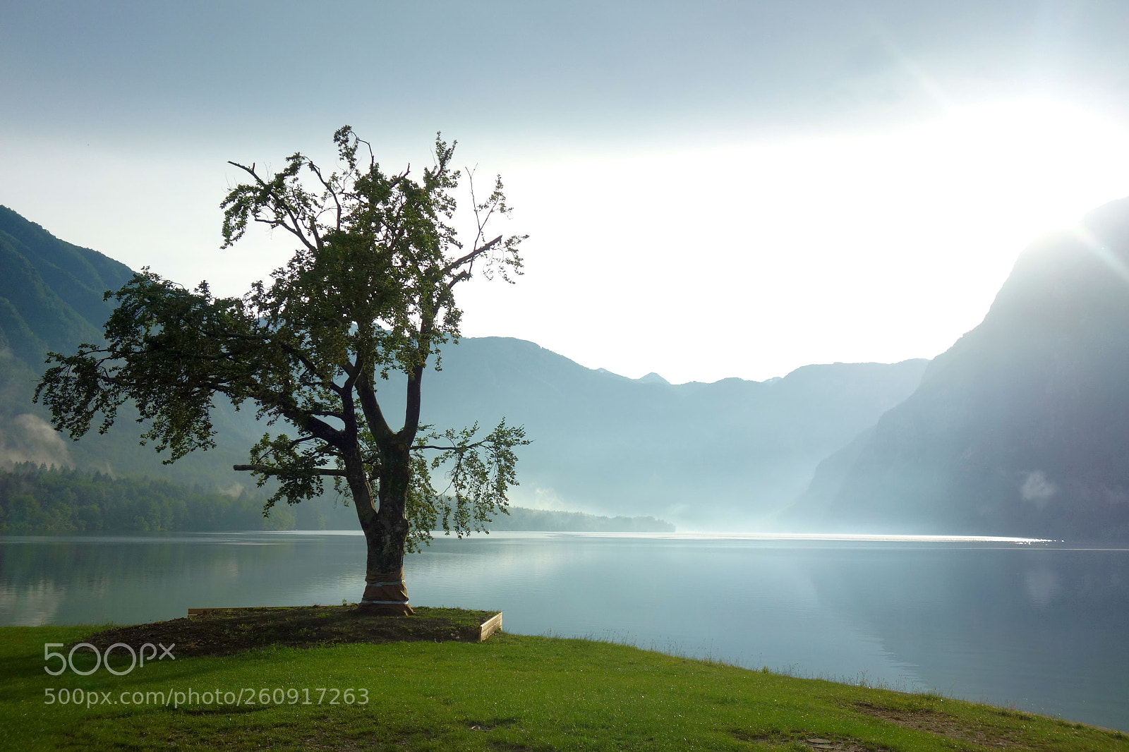 Sony Cyber-shot DSC-RX100 sample photo. Lake bohinj photography