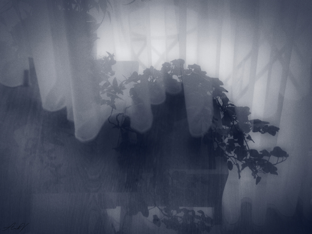 Olympus PEN E-PL1 sample photo. Many feelings photography
