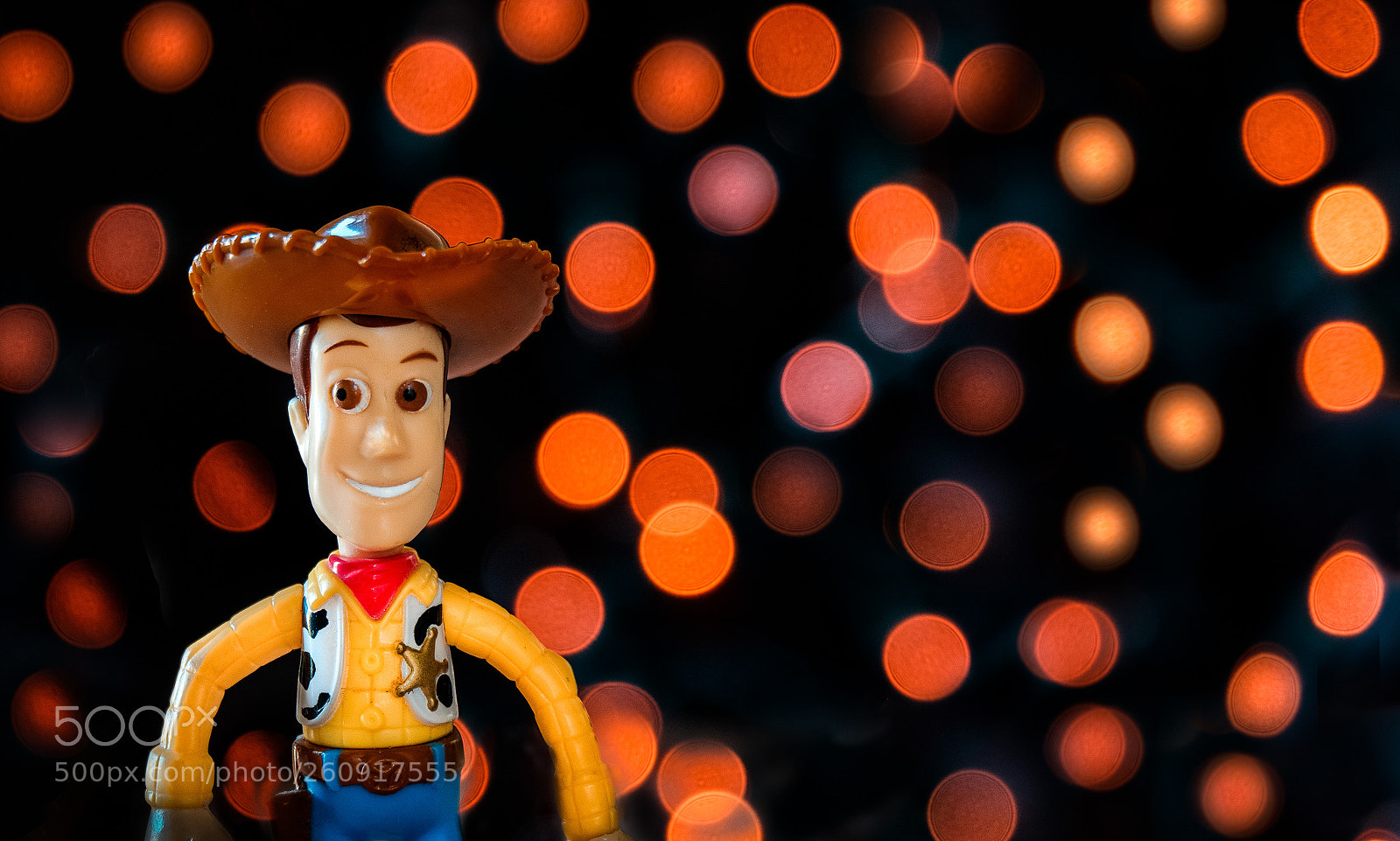 Fujifilm X-T2 sample photo. Woody portrait of a photography