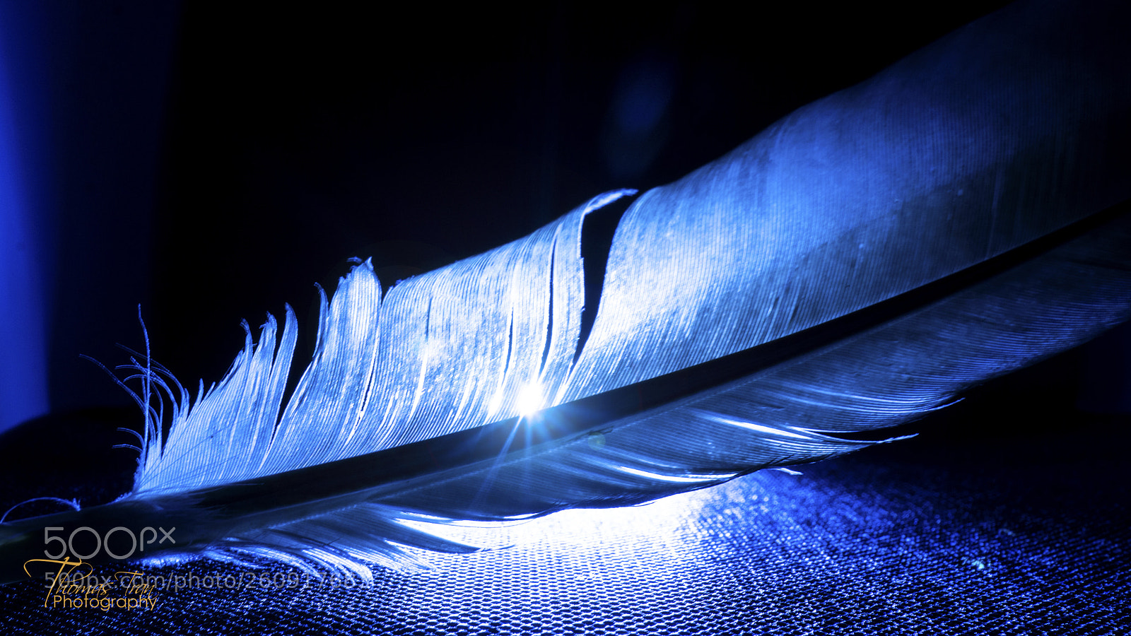 Sony a6000 sample photo. Light thru feather photography