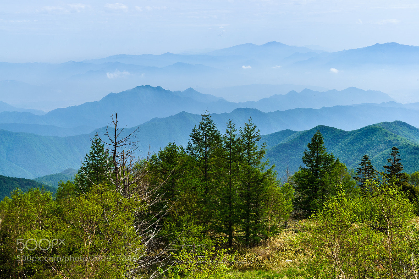 Nikon D3S sample photo. Gradation photography