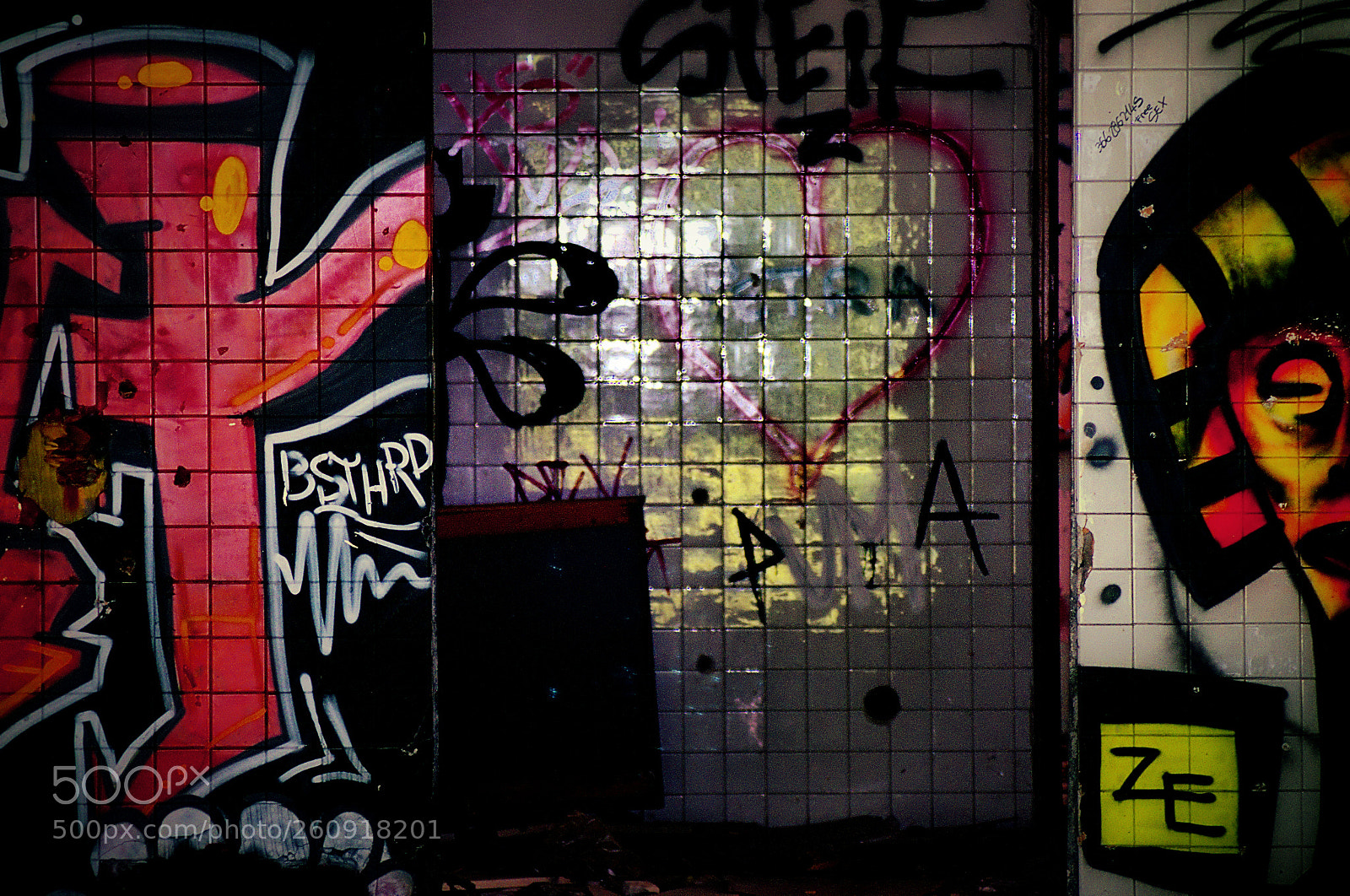 Pentax K-5 sample photo. Untitled photography
