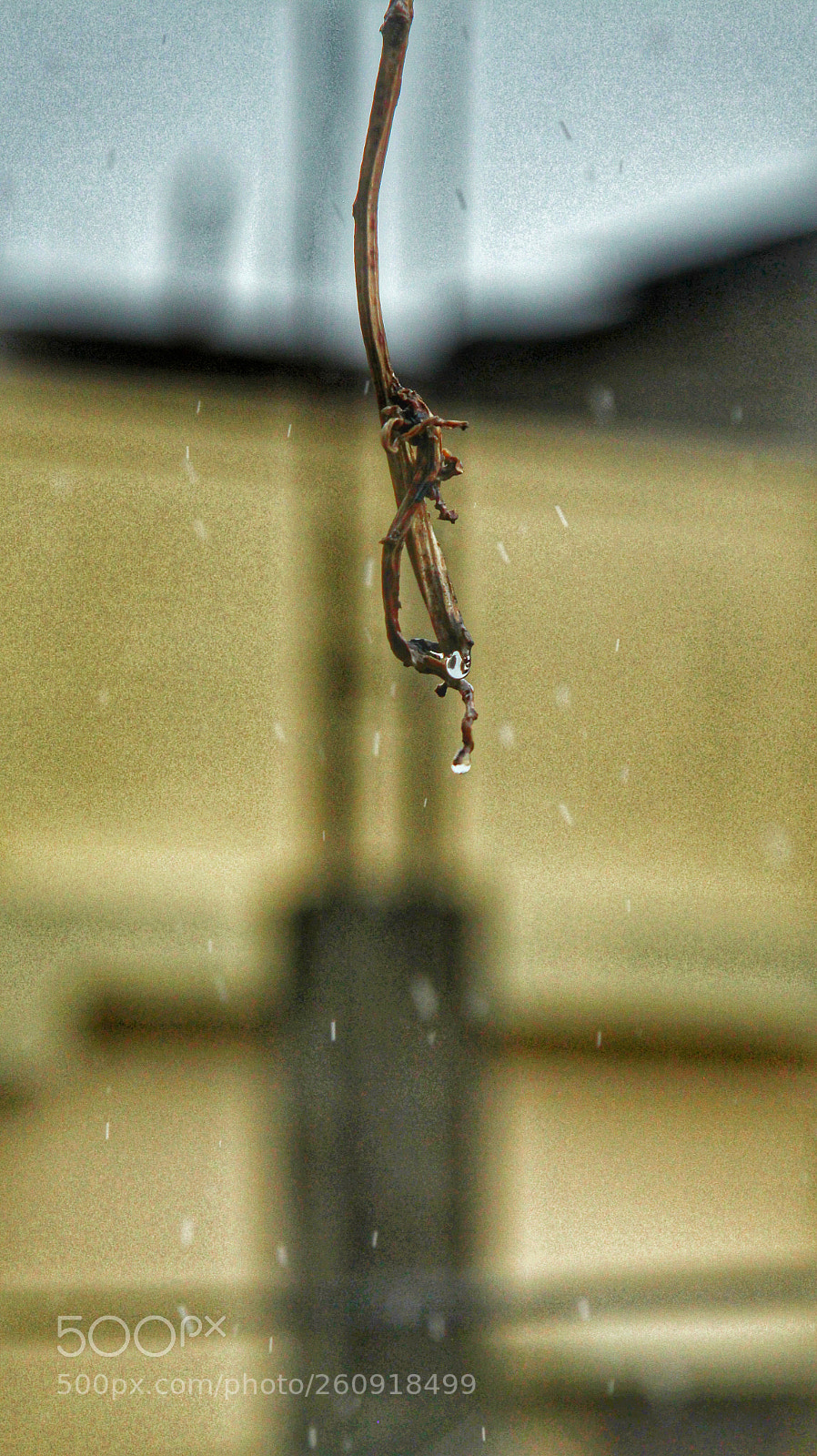Canon EOS 700D (EOS Rebel T5i / EOS Kiss X7i) sample photo. Untitled photography