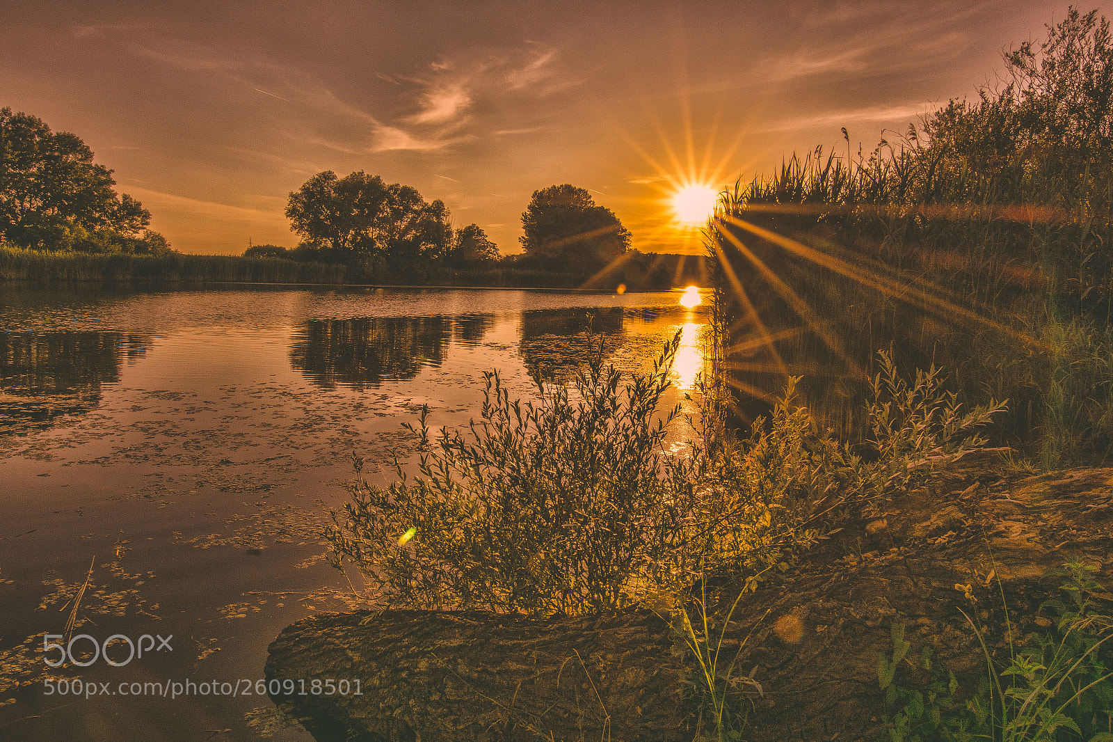 Nikon D7100 sample photo. Sunburst photography
