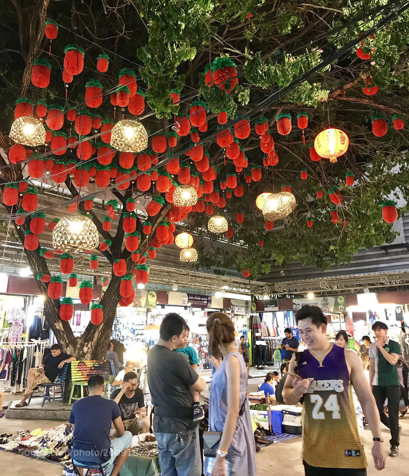 Apple iPhone 7 Plus sample photo. Untitled photography