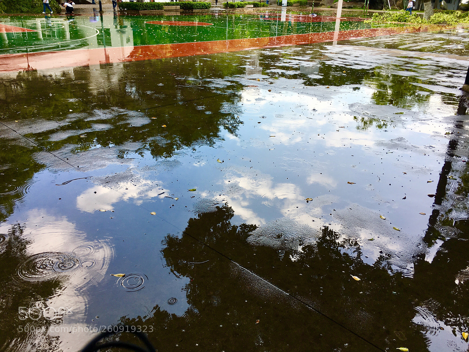 Apple iPhone 6s sample photo. Untitled photography