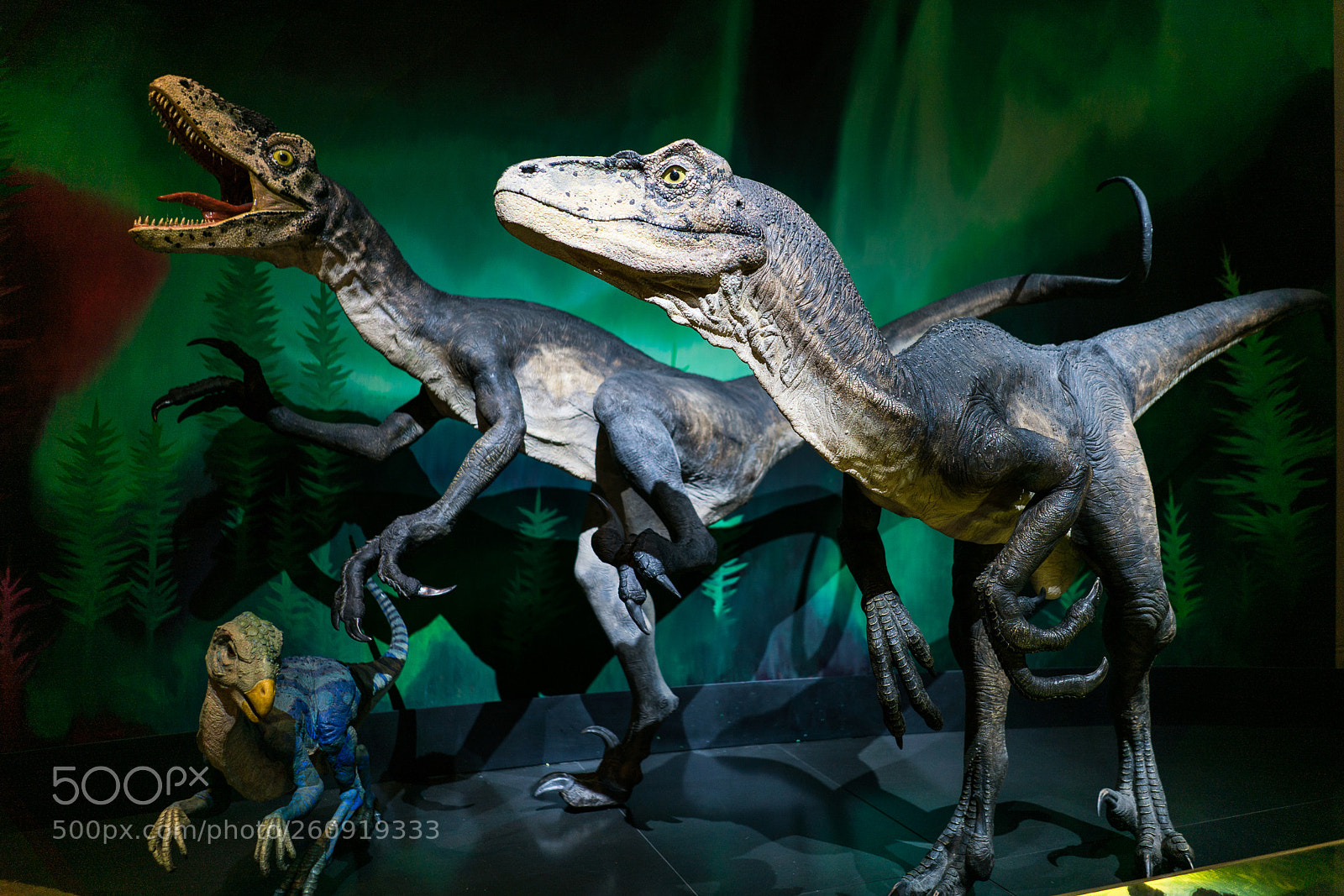 Sony a7R II sample photo. Australian museum photography