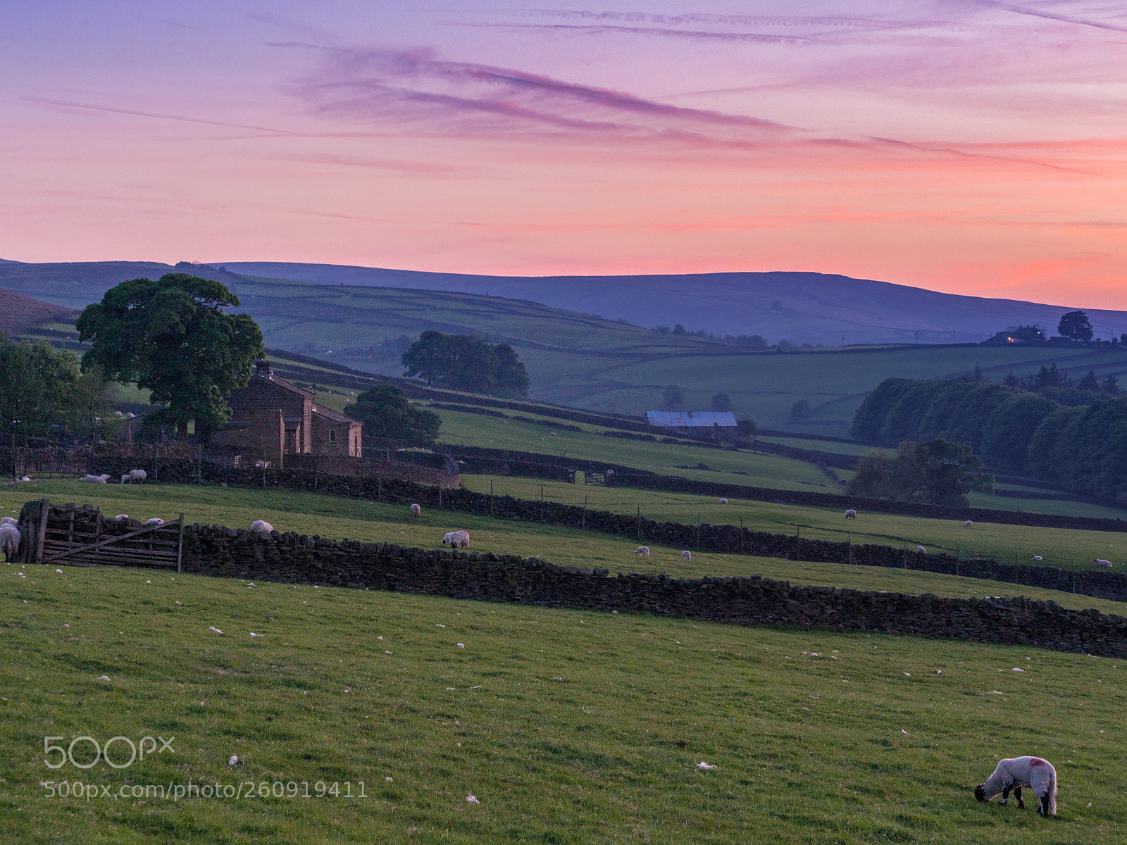 Olympus OM-D E-M10 II sample photo. Yorkshire sunset photography