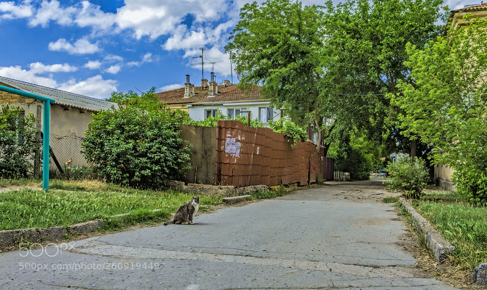 Canon EOS 1300D (EOS Rebel T6 / EOS Kiss X80) sample photo. Crimean view ii photography